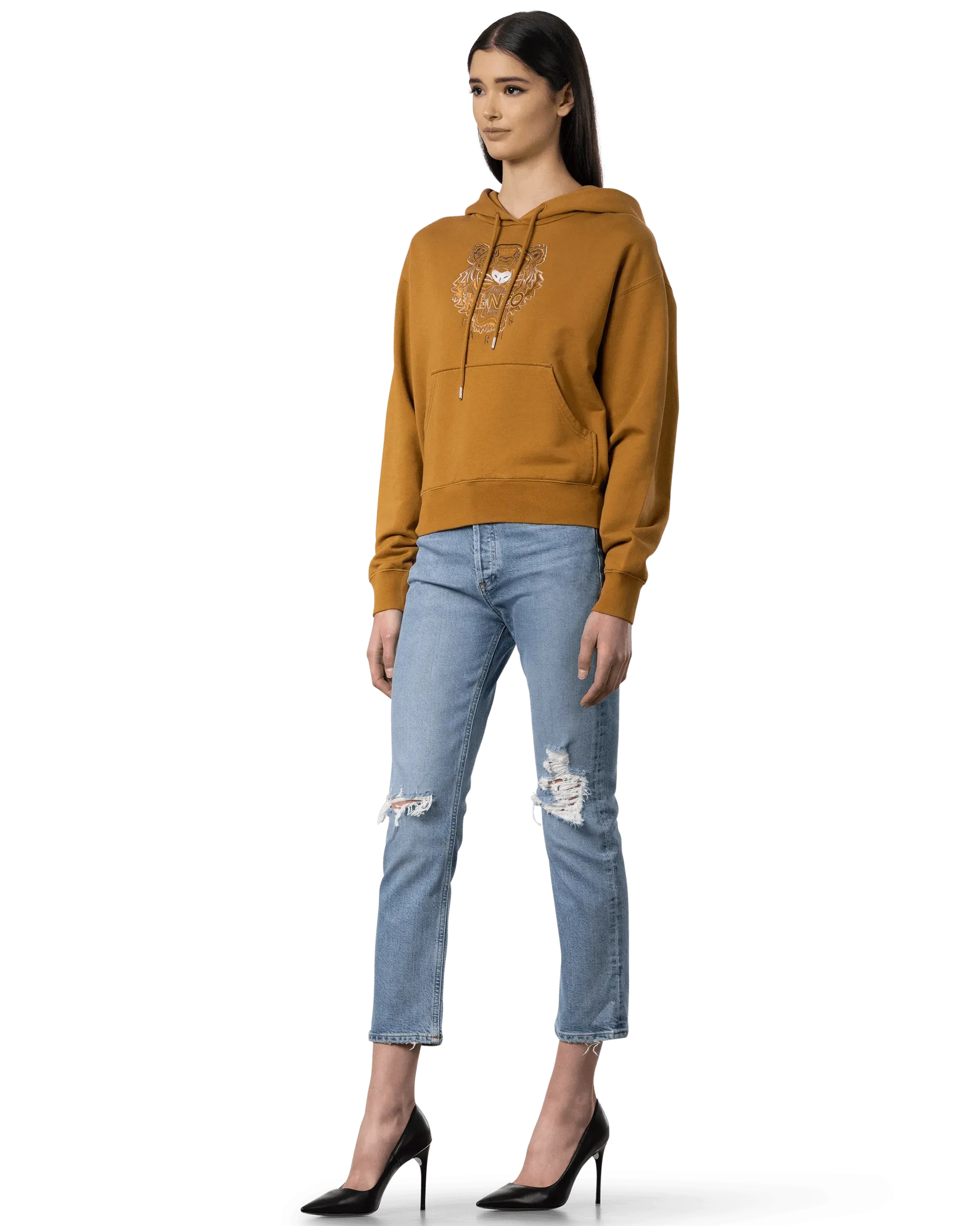Gradient Tiger Molleton Hoodie - DIHSAN