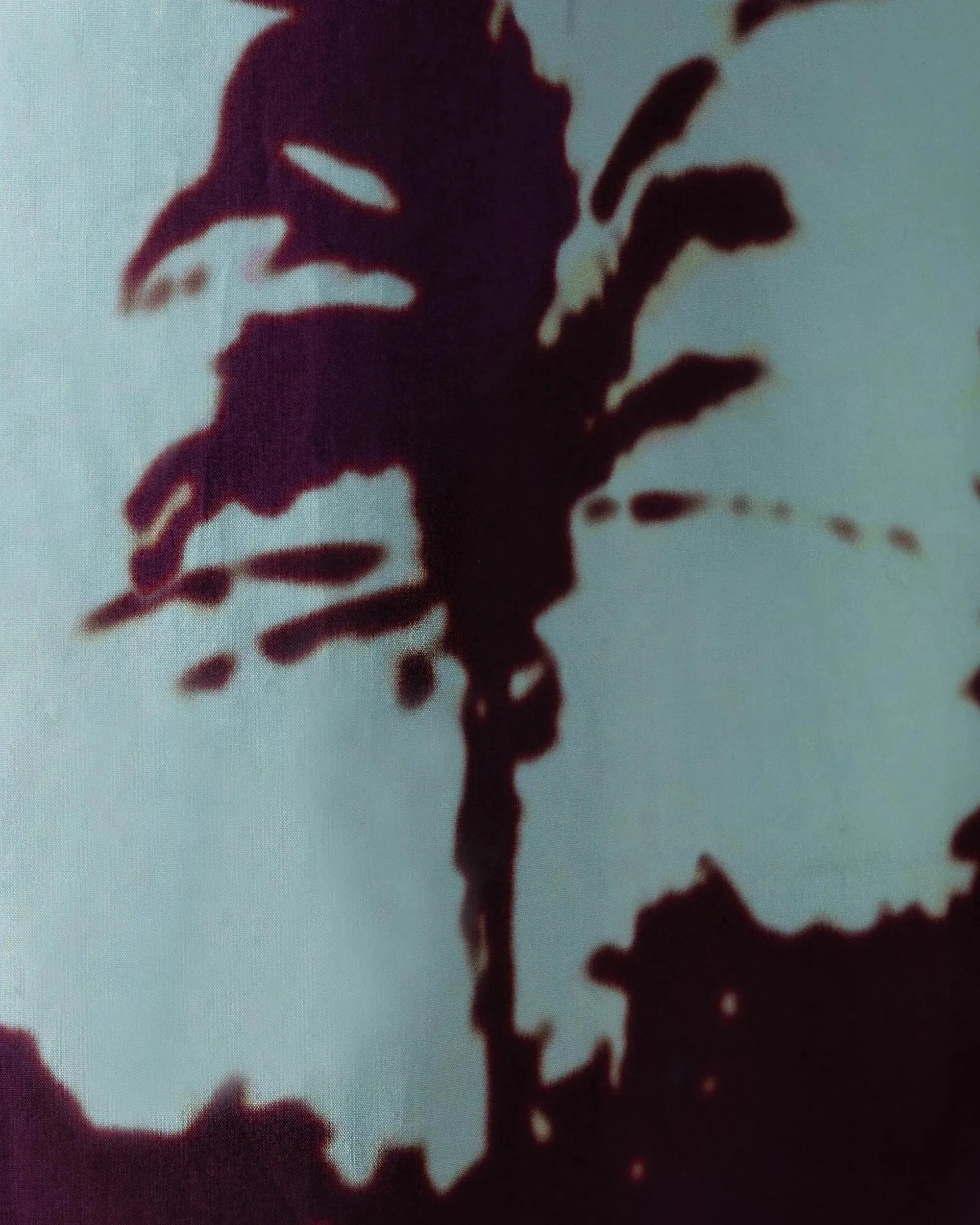 Palm-Printed Cotton Poplin Shirt - DIHSAN