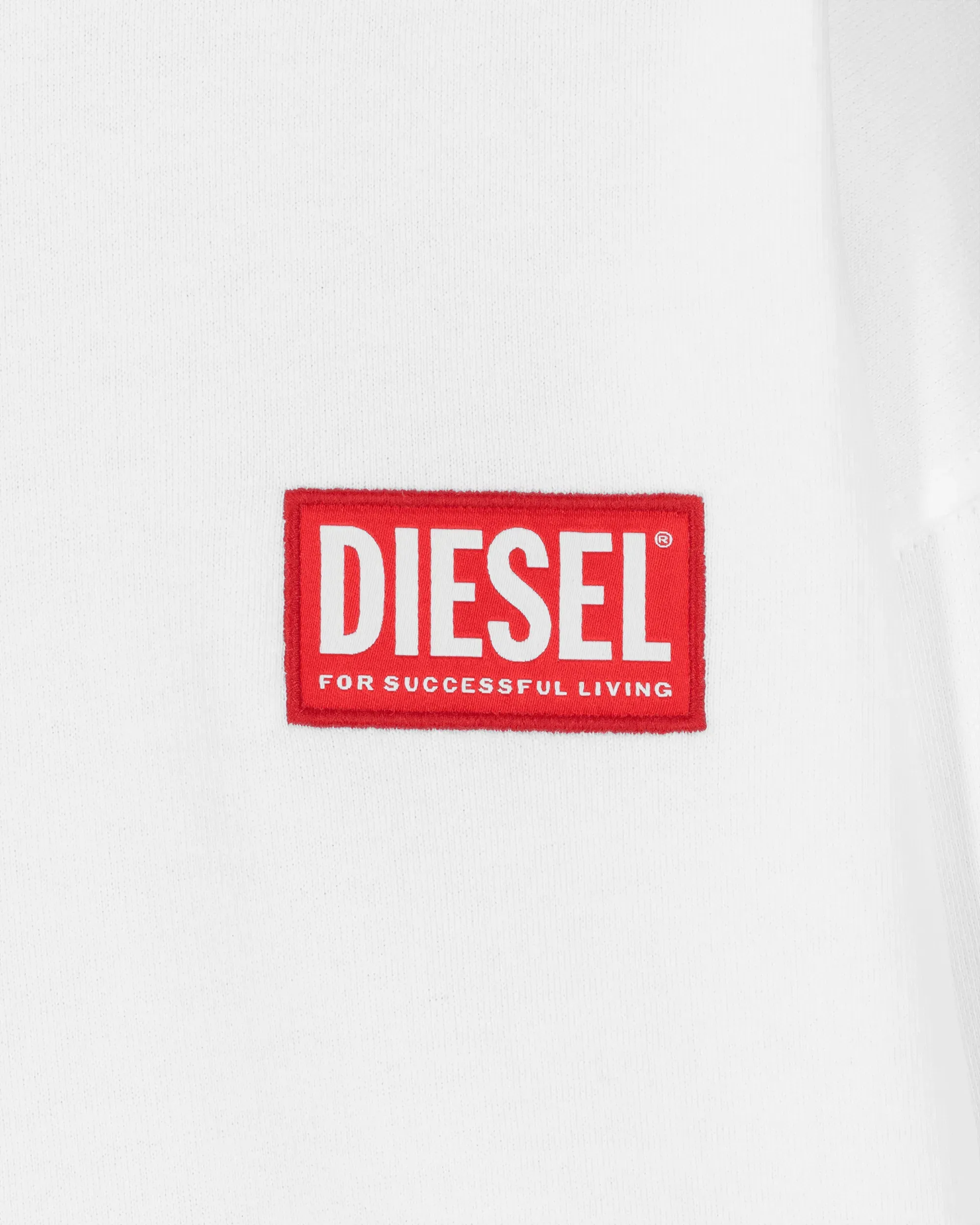 S-NLabel-Hood-L1 Sweatshirt - DIHSAN