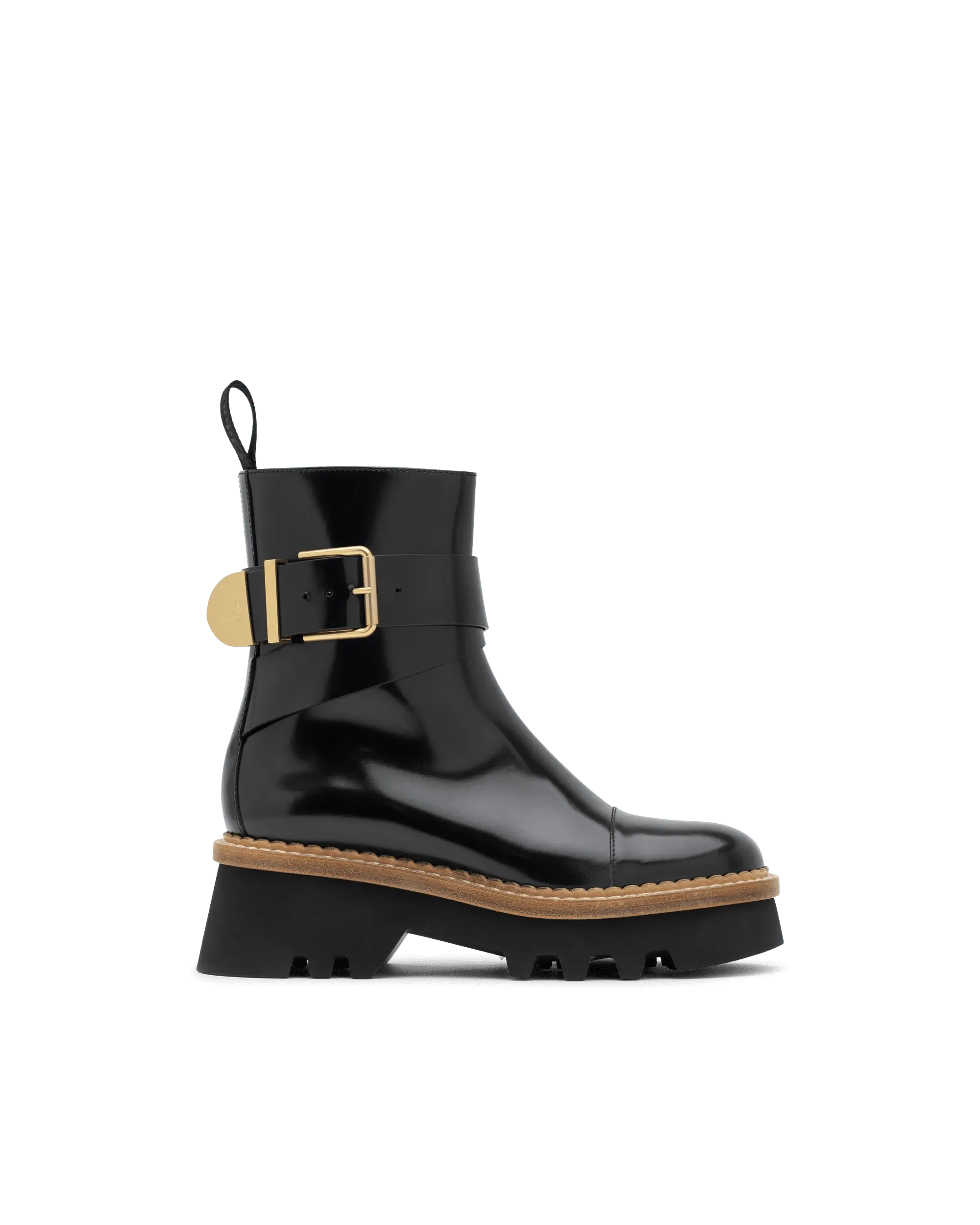 Owena Shiny Leather Ankle Boots - DIHSAN