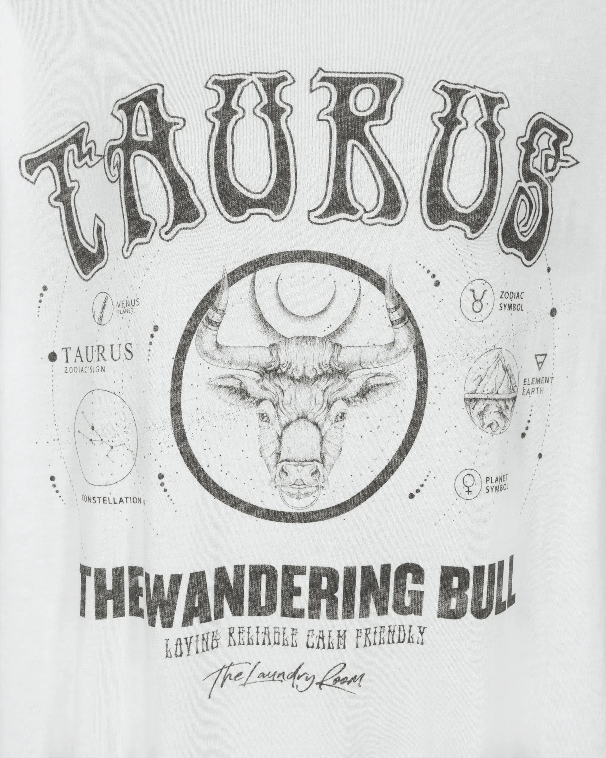 Taurus Oversized Tee - DIHSAN