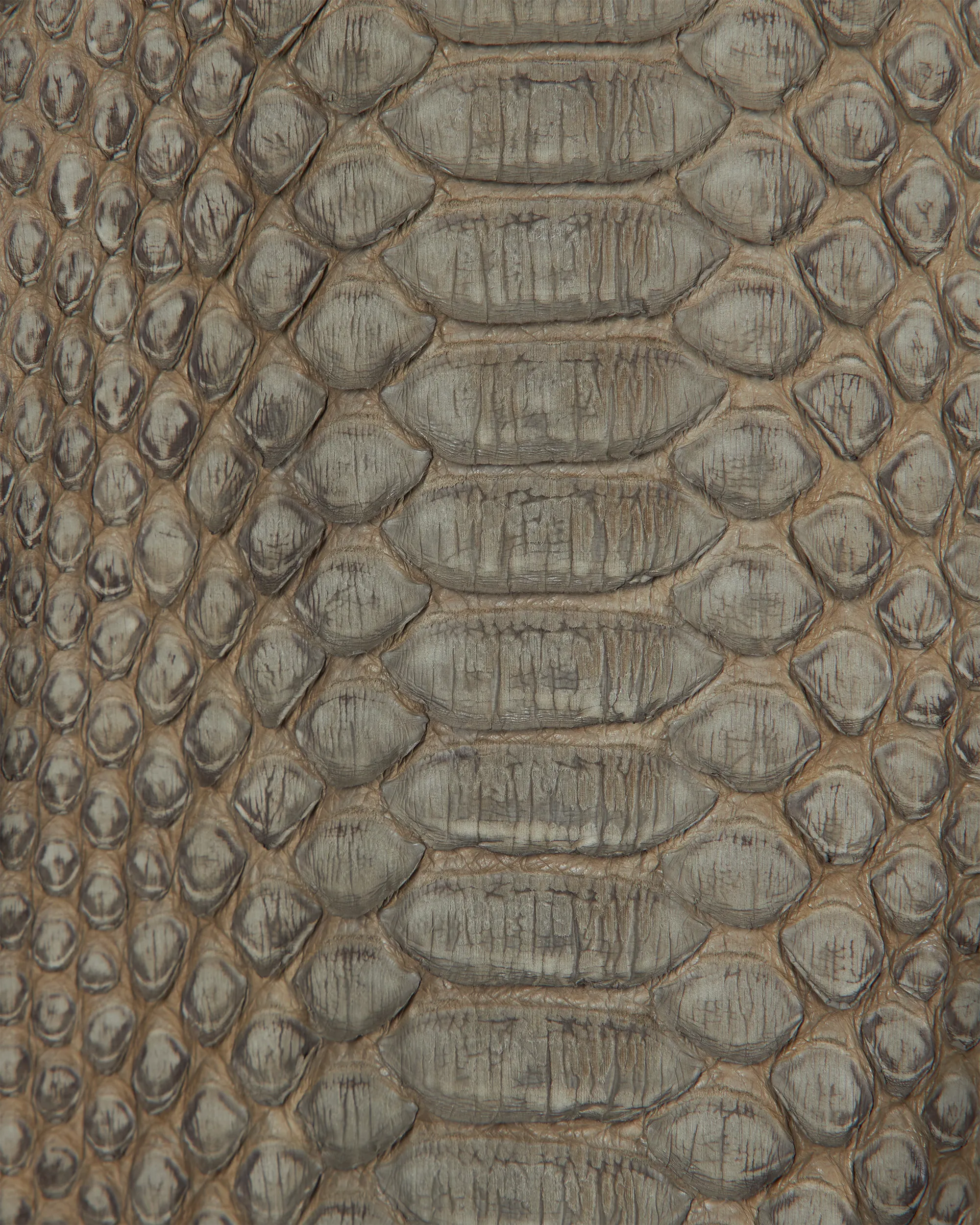 Python Skin Jacket - DIHSAN