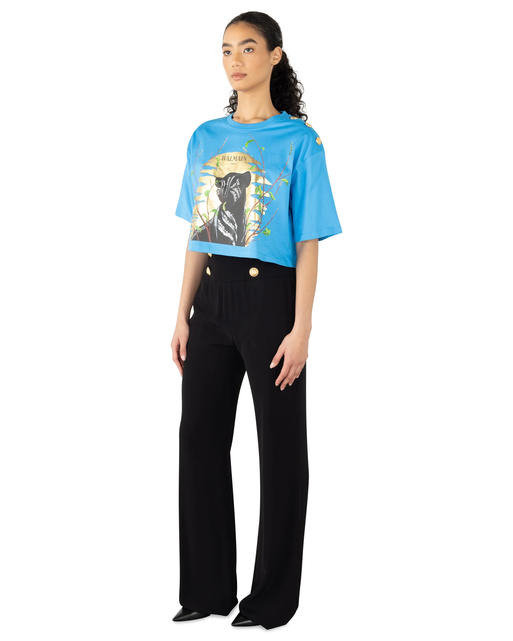 The Lion King Cassius Khumalo Printed Cropped T-Shirt