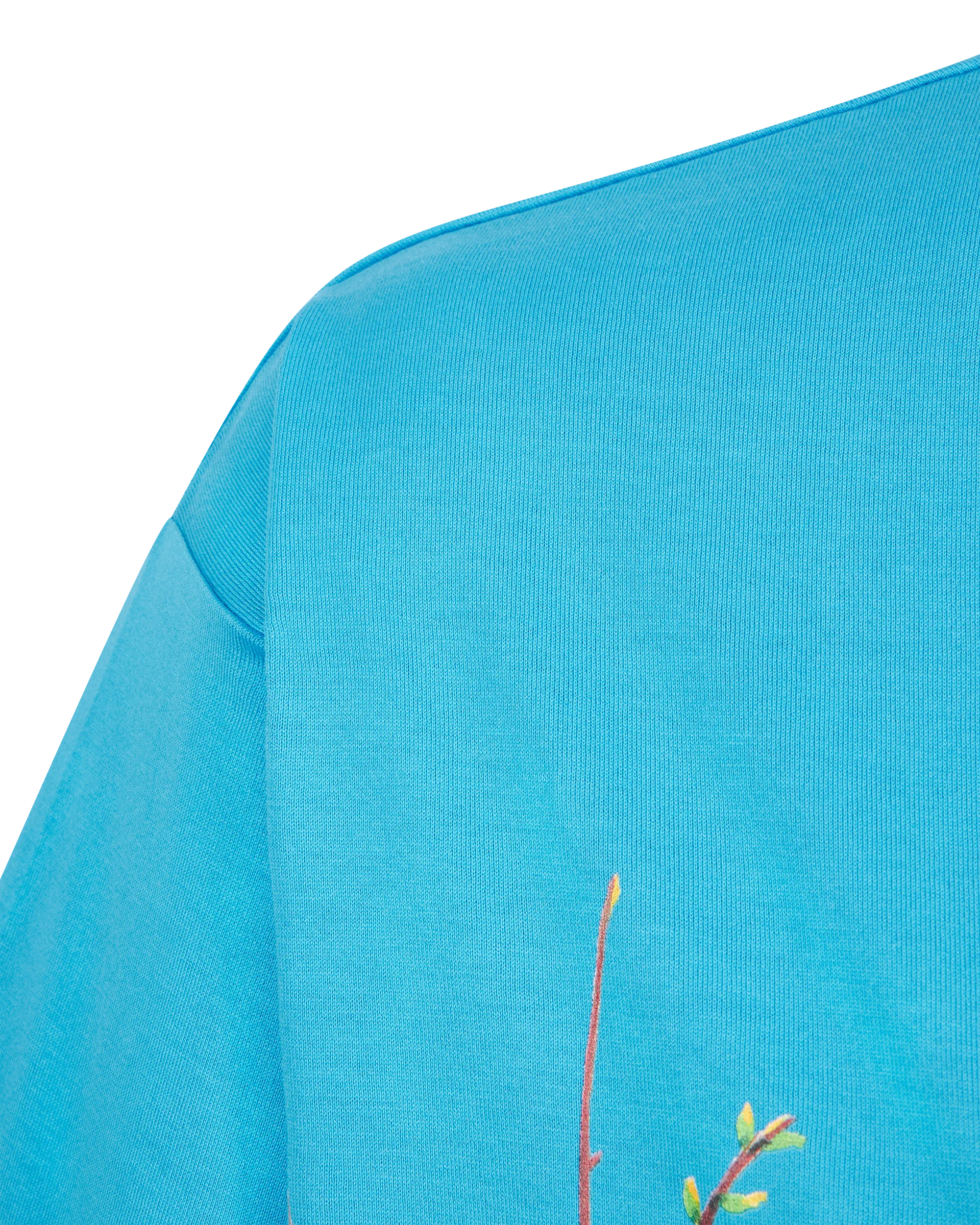 The Lion King Cassius Khumalo Printed Cropped T-Shirt - DIHSAN