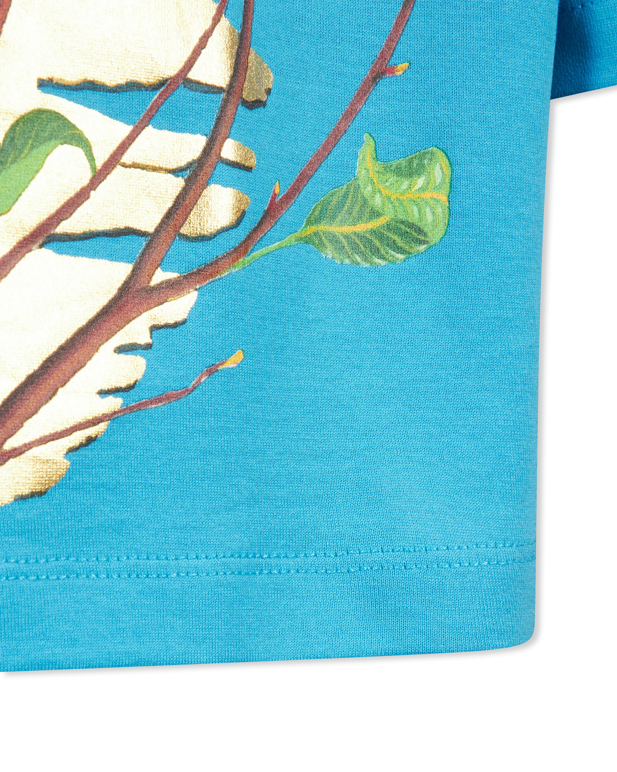 The Lion King Cassius Khumalo Printed Cropped T-Shirt - DIHSAN