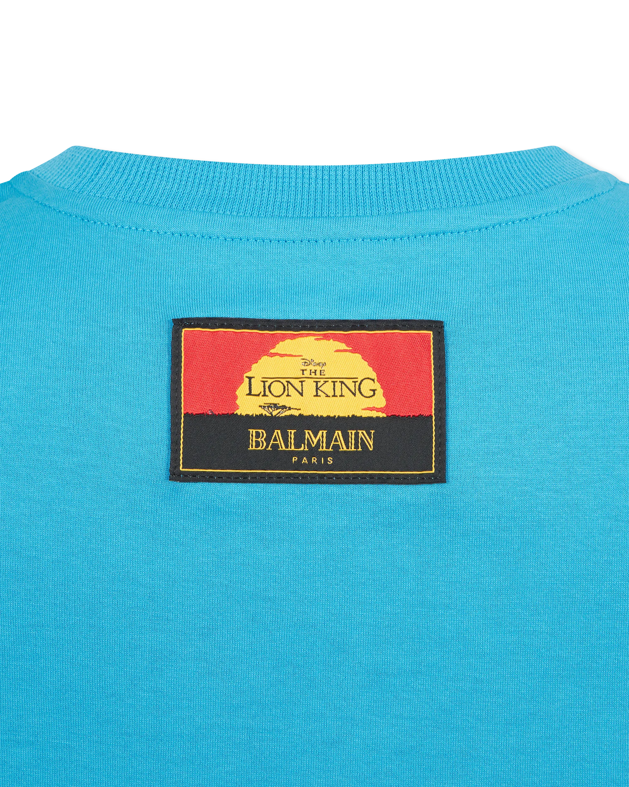 The Lion King Cassius Khumalo Printed Cropped T-Shirt - DIHSAN