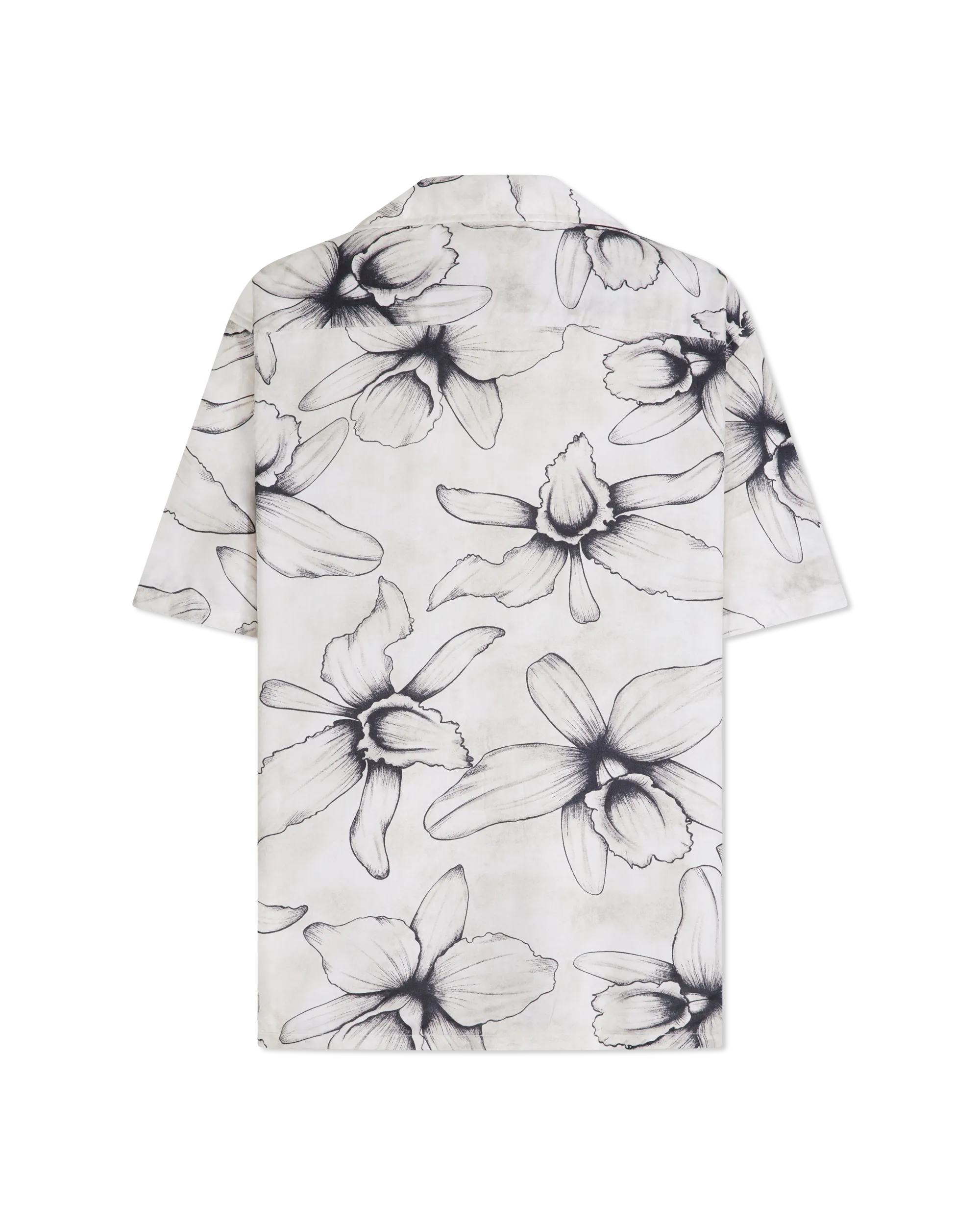 Dan Camp Collar Shirt