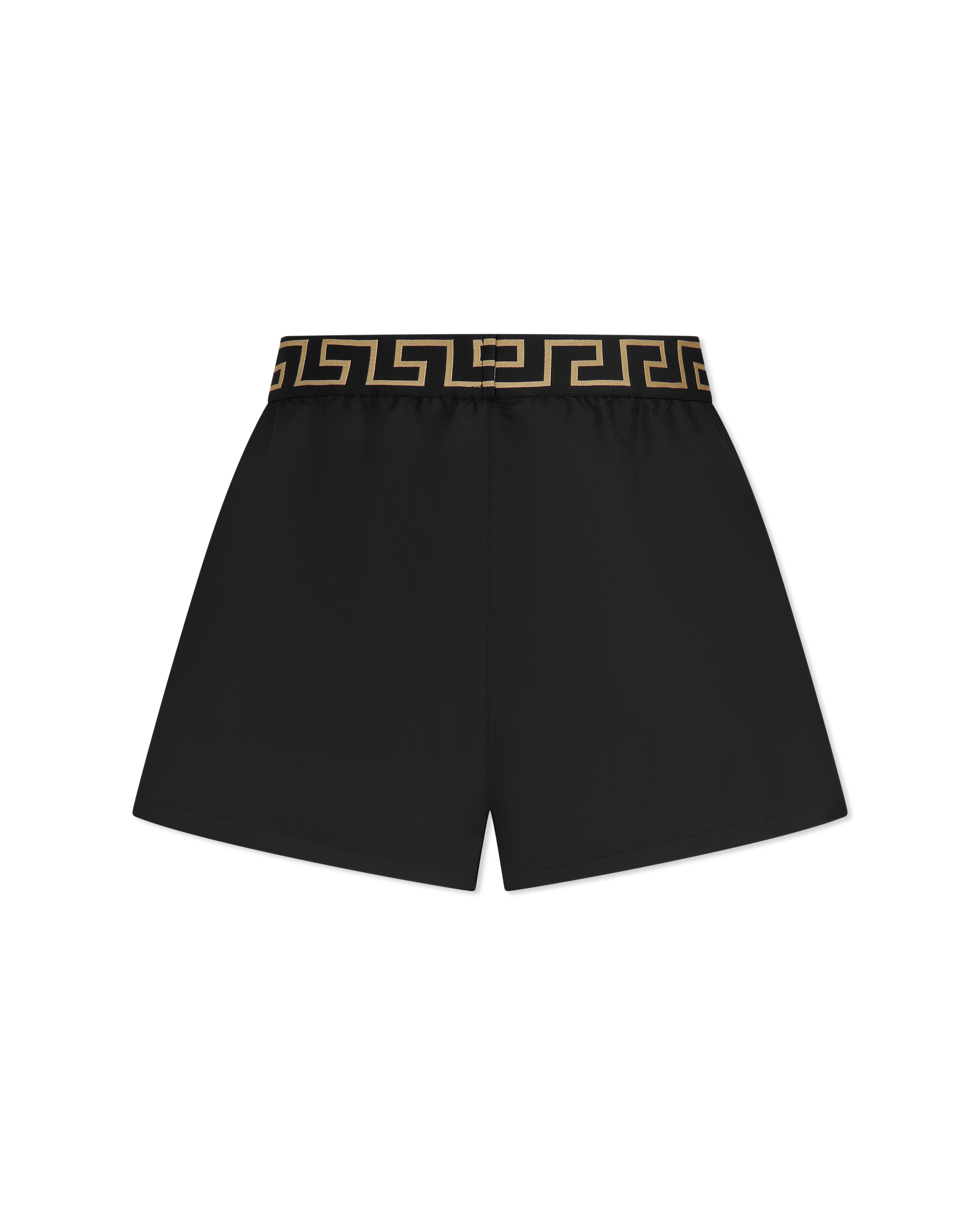 Greca Border Swim Shorts