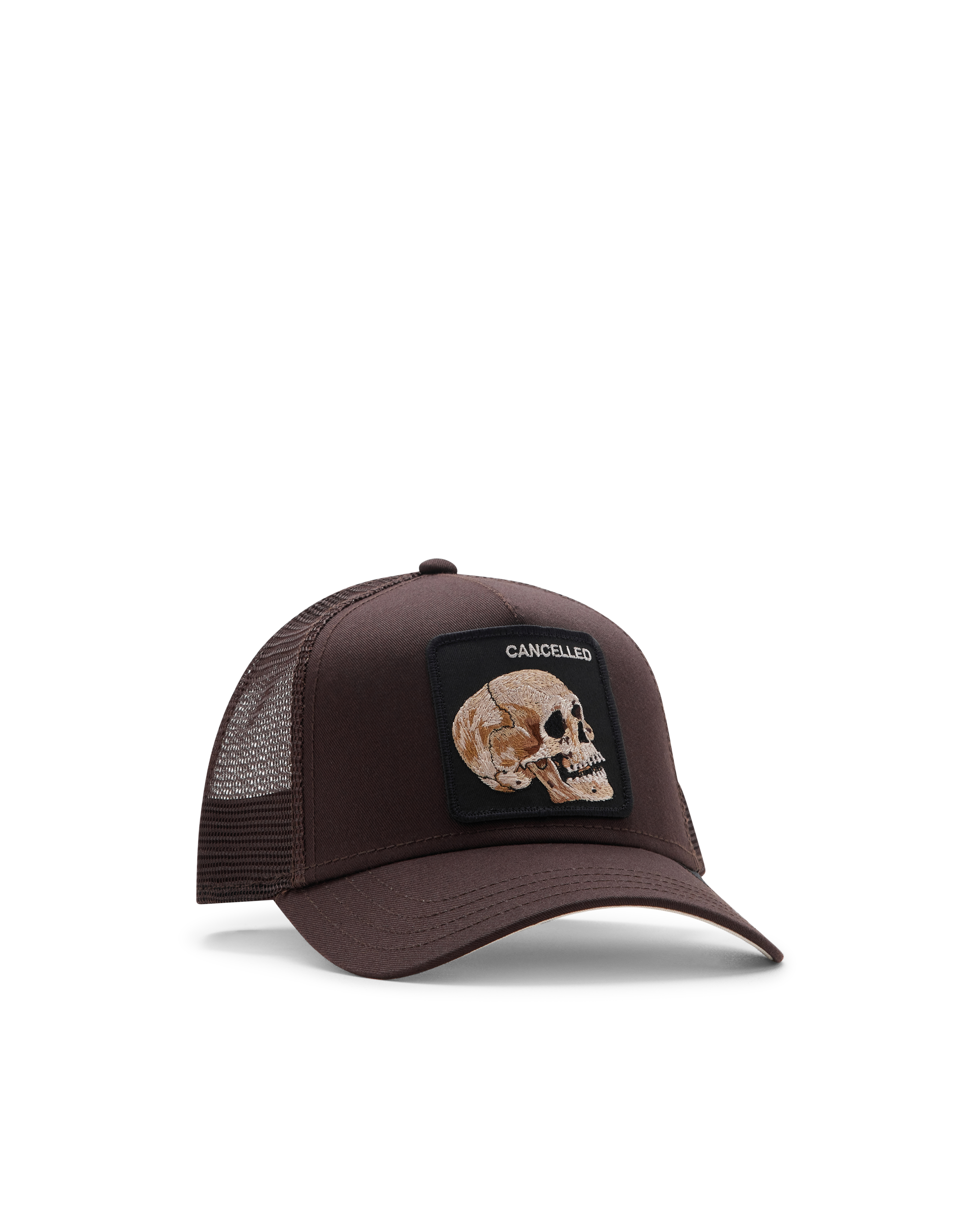 The Cancelled Skull