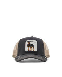 Bad Boy Trucker