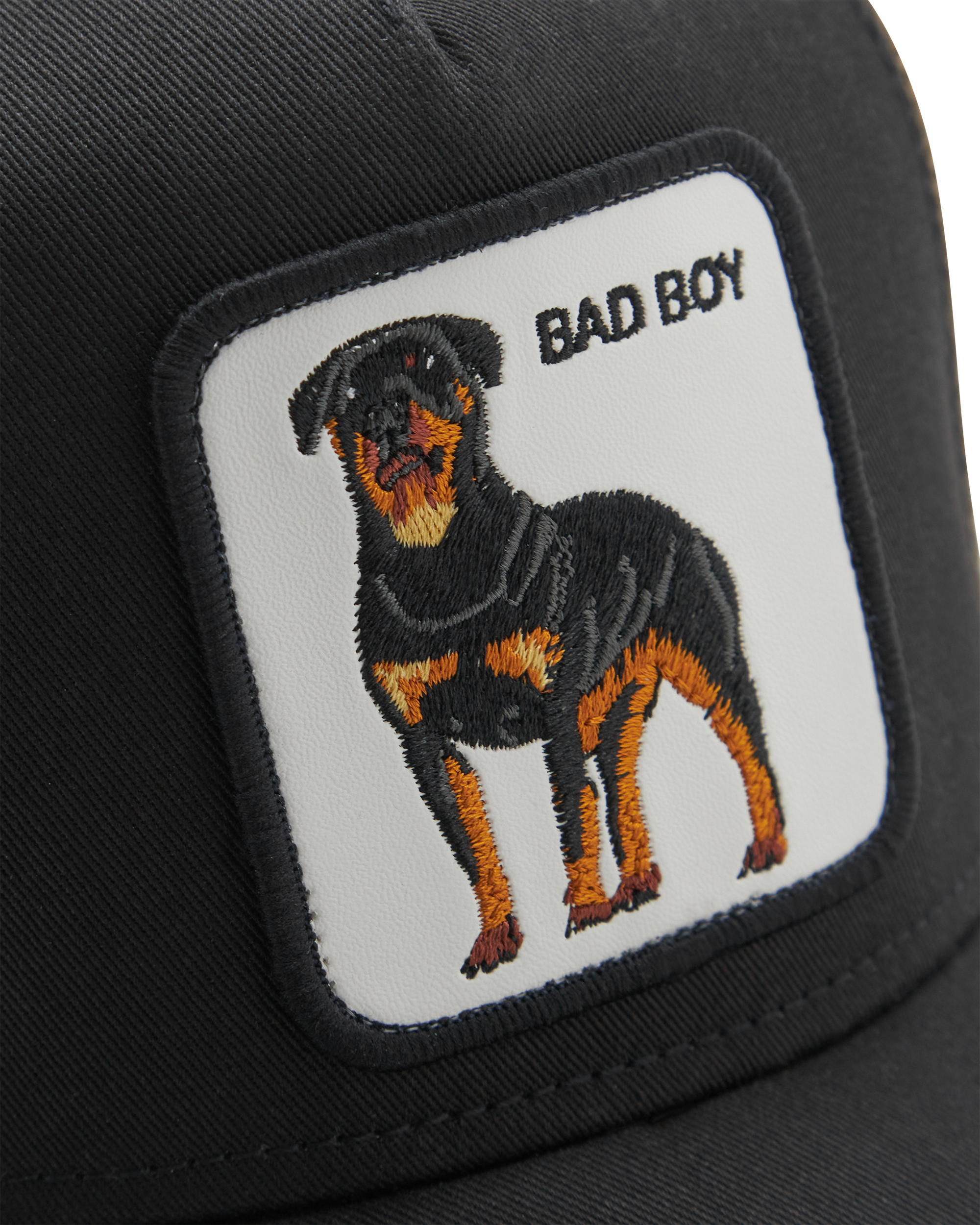 Bad Boy Trucker