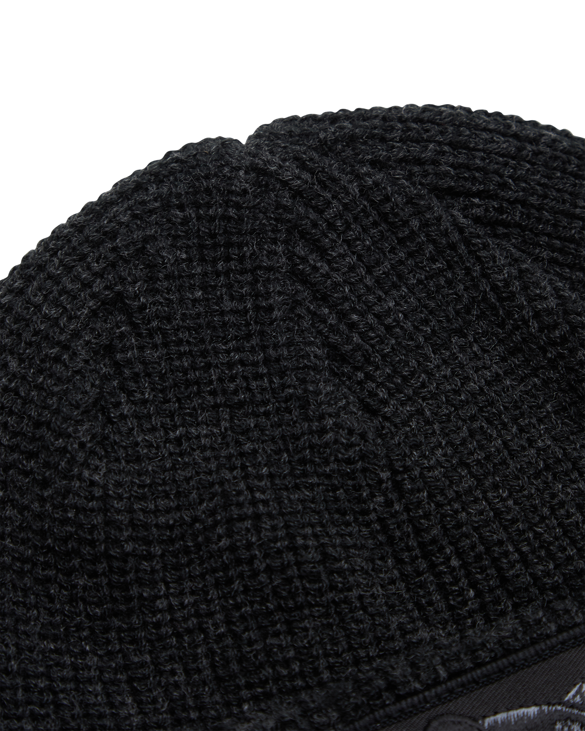 The Panther Beanie