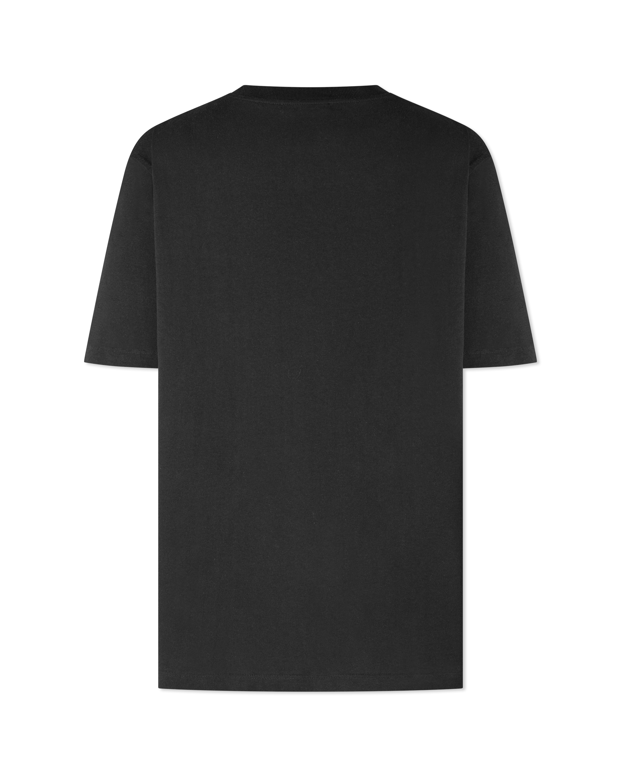 Embroidered Balmain Paris T-Shirt