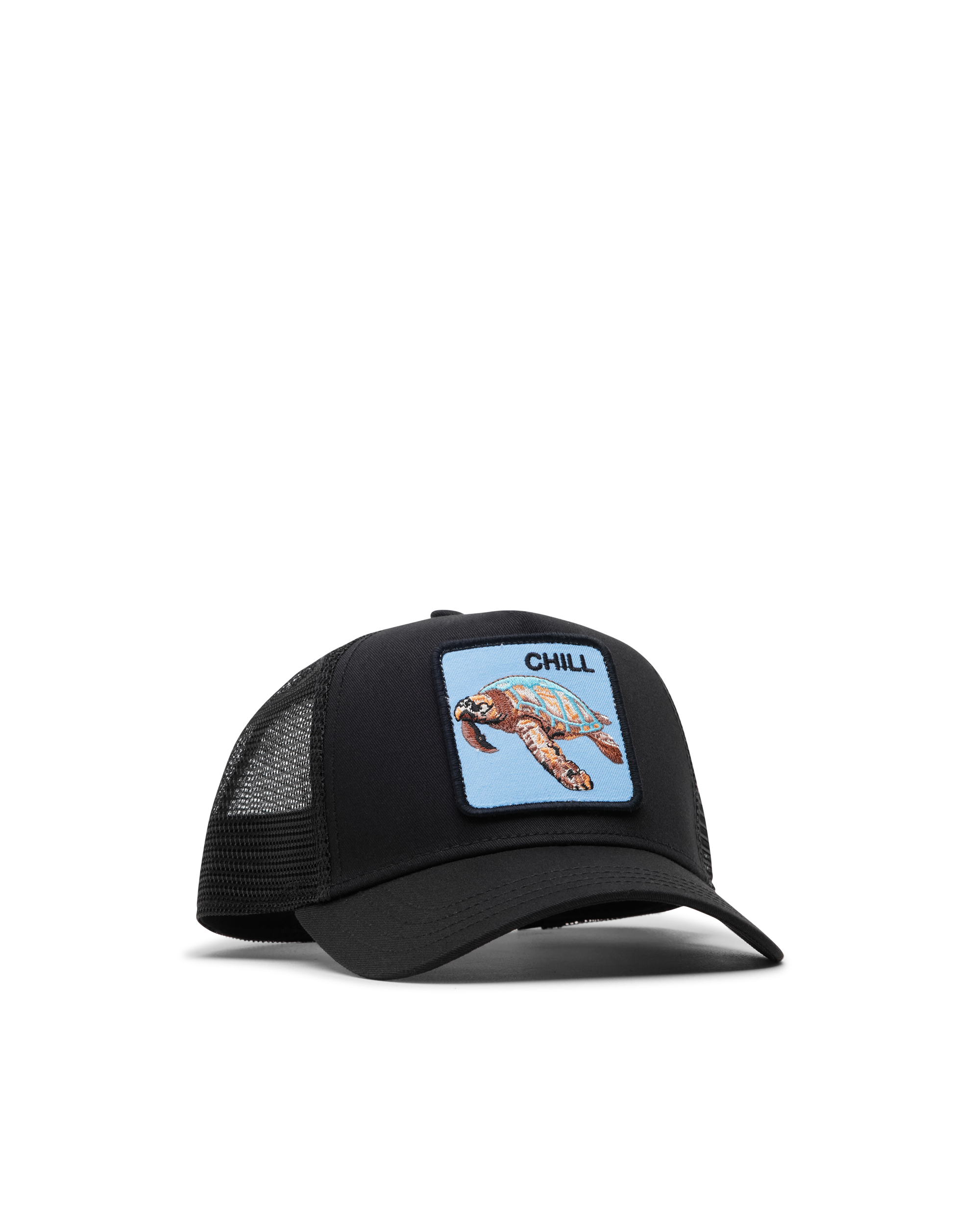 The Chill Sea Turtle