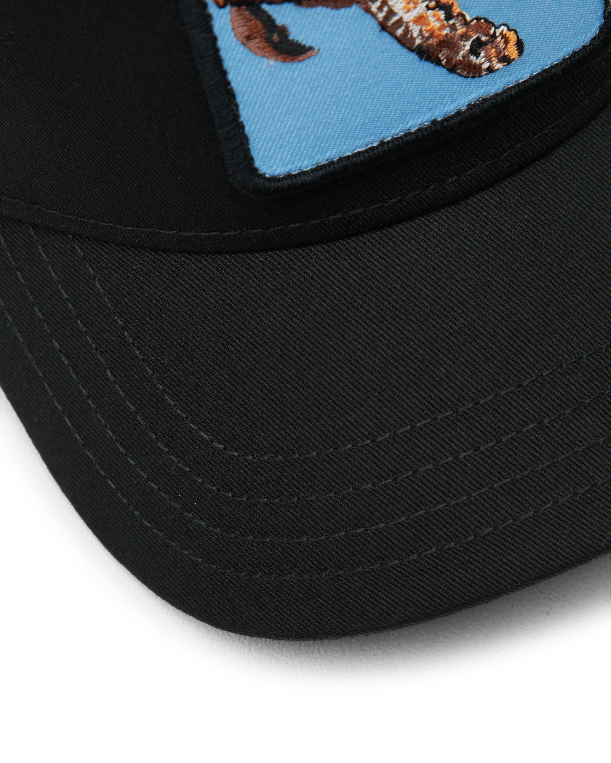 The Chill Sea Turtle