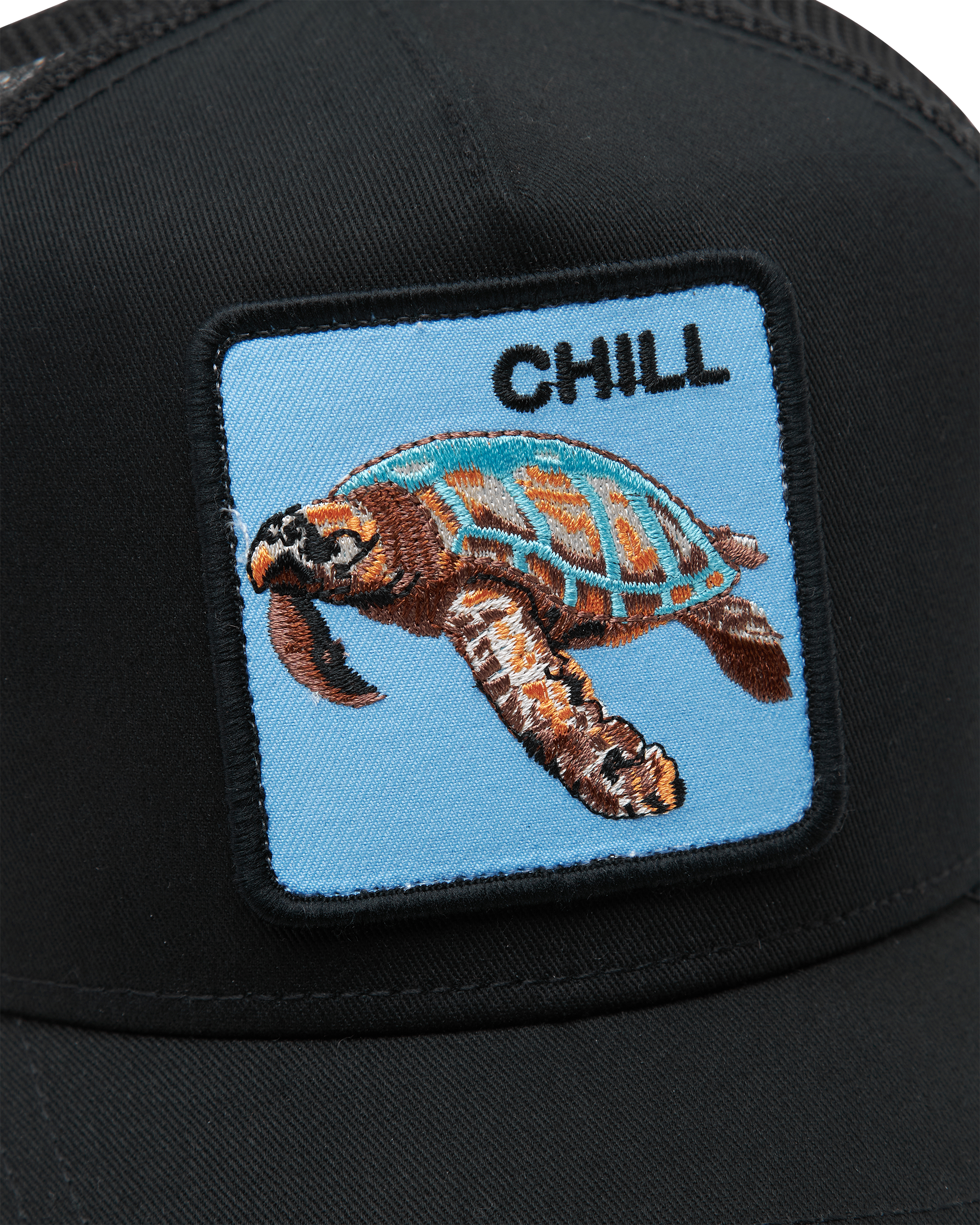 The Chill Sea Turtle