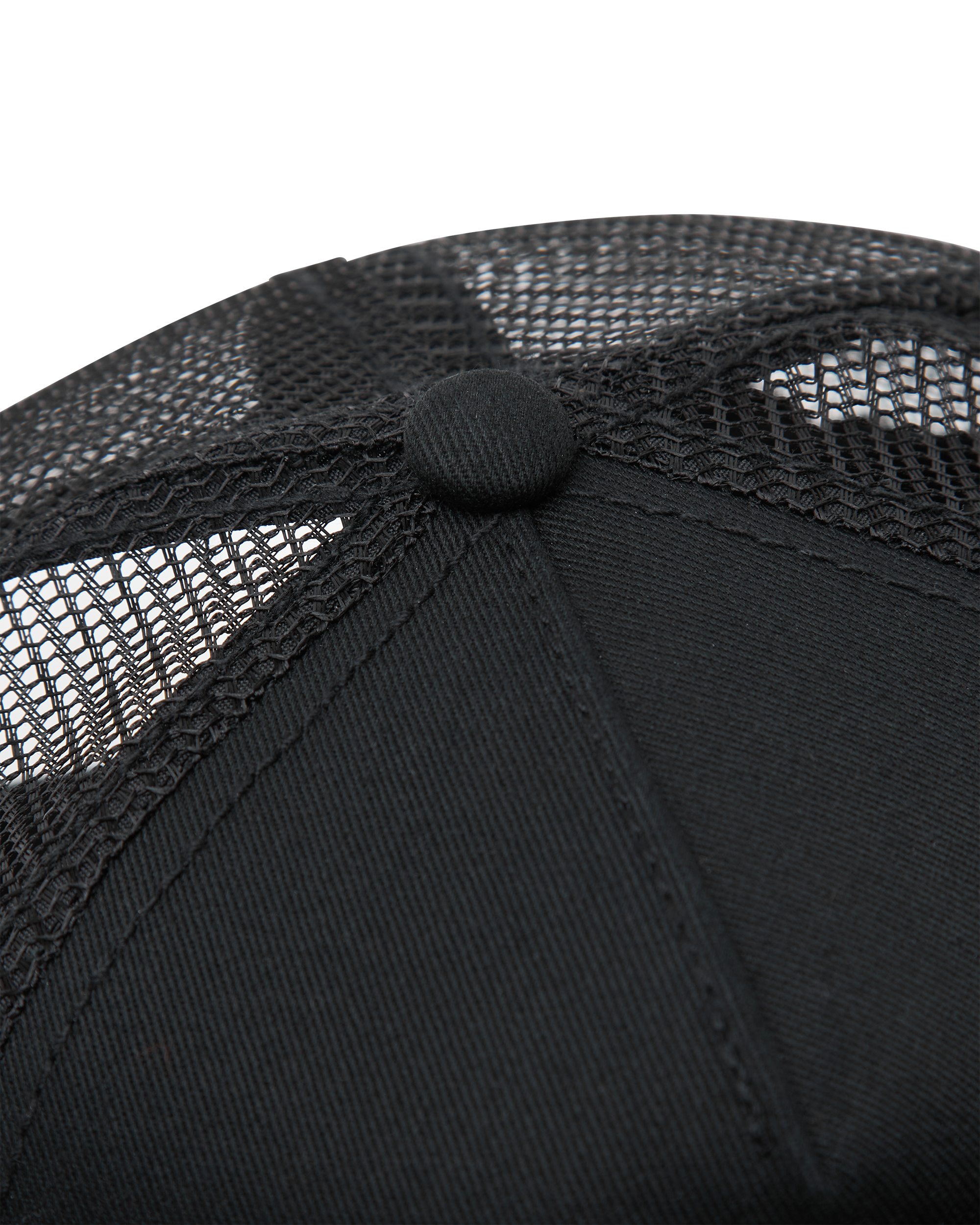 The Chill Sea Turtle