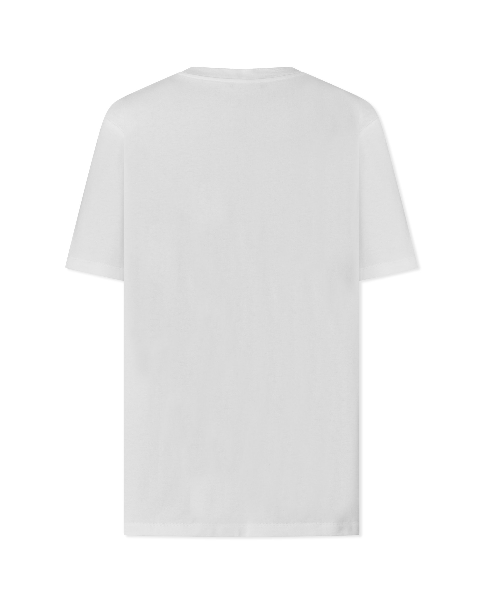Embroidered Balmain Paris T-Shirt