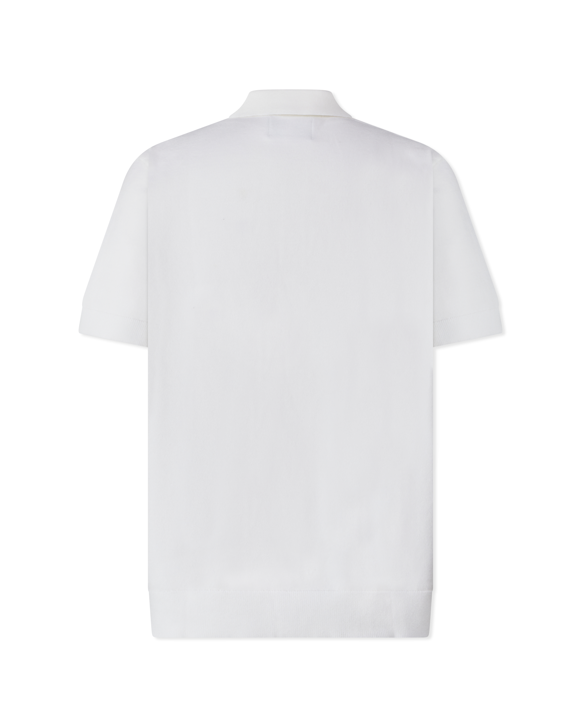 Vertical Stripe Knit Polo