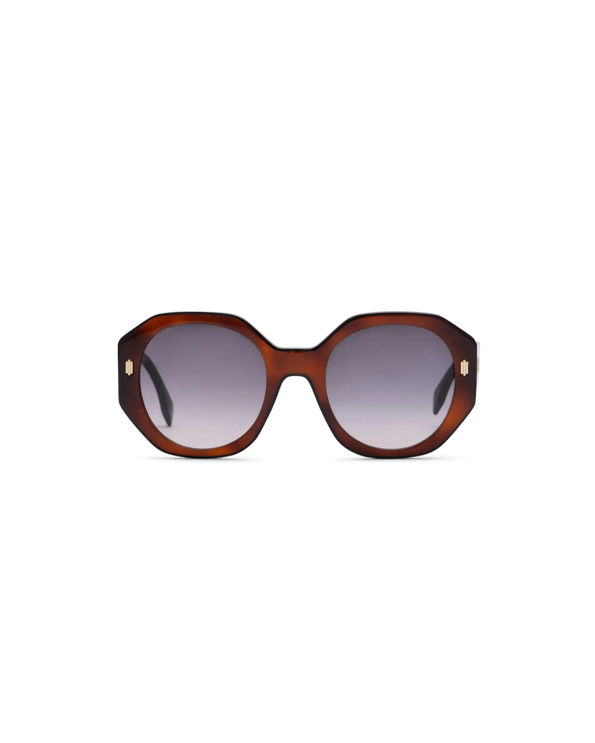 Bold Acetate Havana + Black Lens Sunglasses