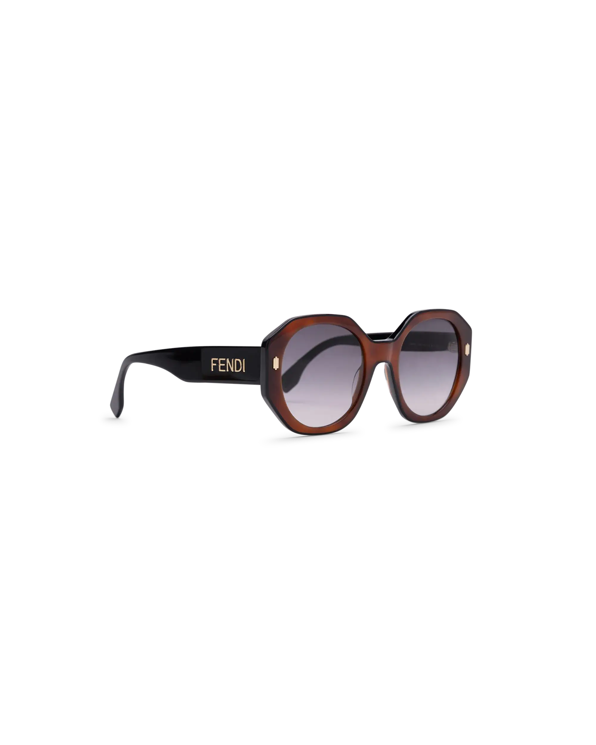 Bold Acetate Havana + Black Lens Sunglasses