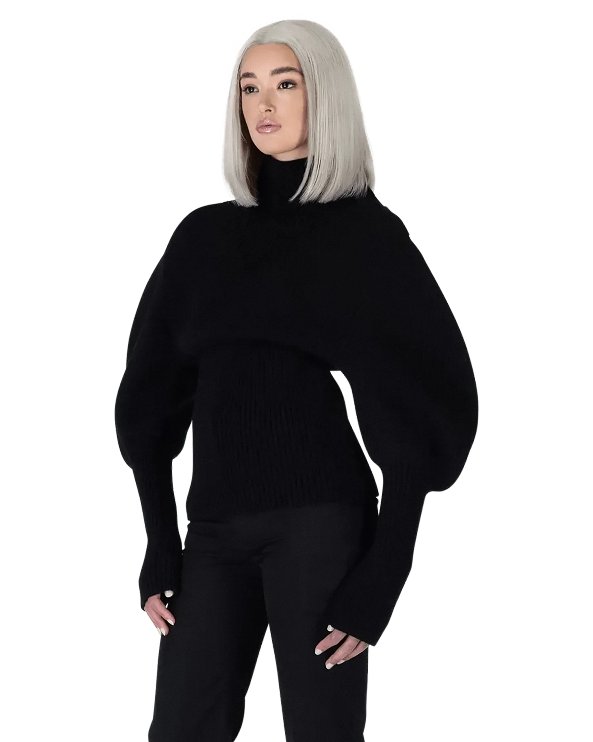 Shetland Double Face Turtleneck Puffed Sleeve Sweater