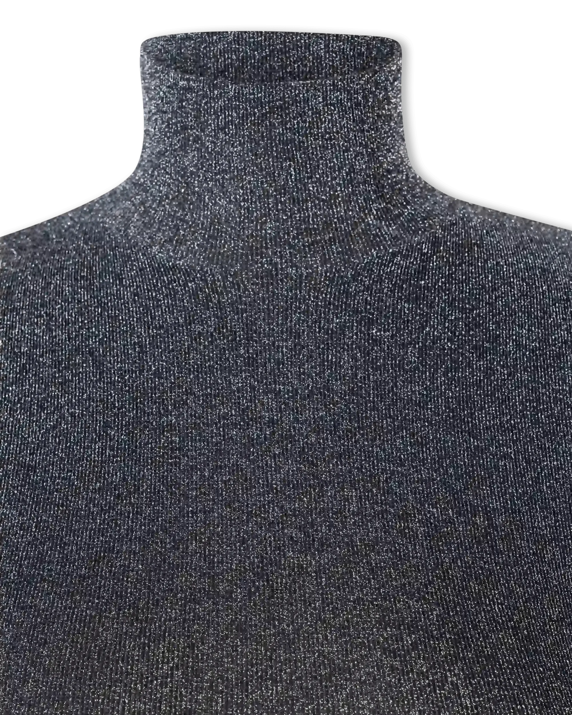 Metallic Lurex Ribbed Turtleneck - DIHSAN