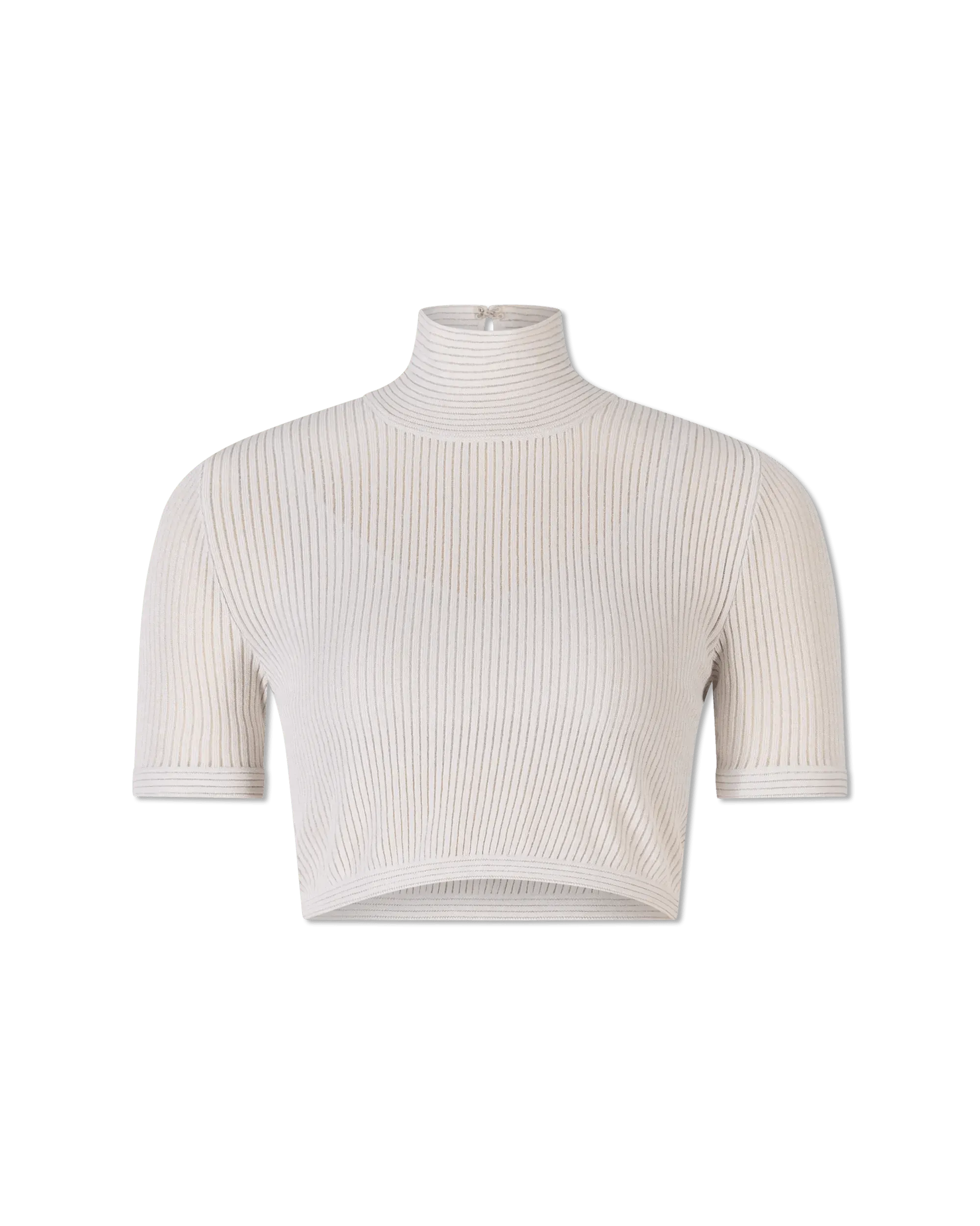 Semi-Sheer Turtleneck Crop Top - DIHSAN