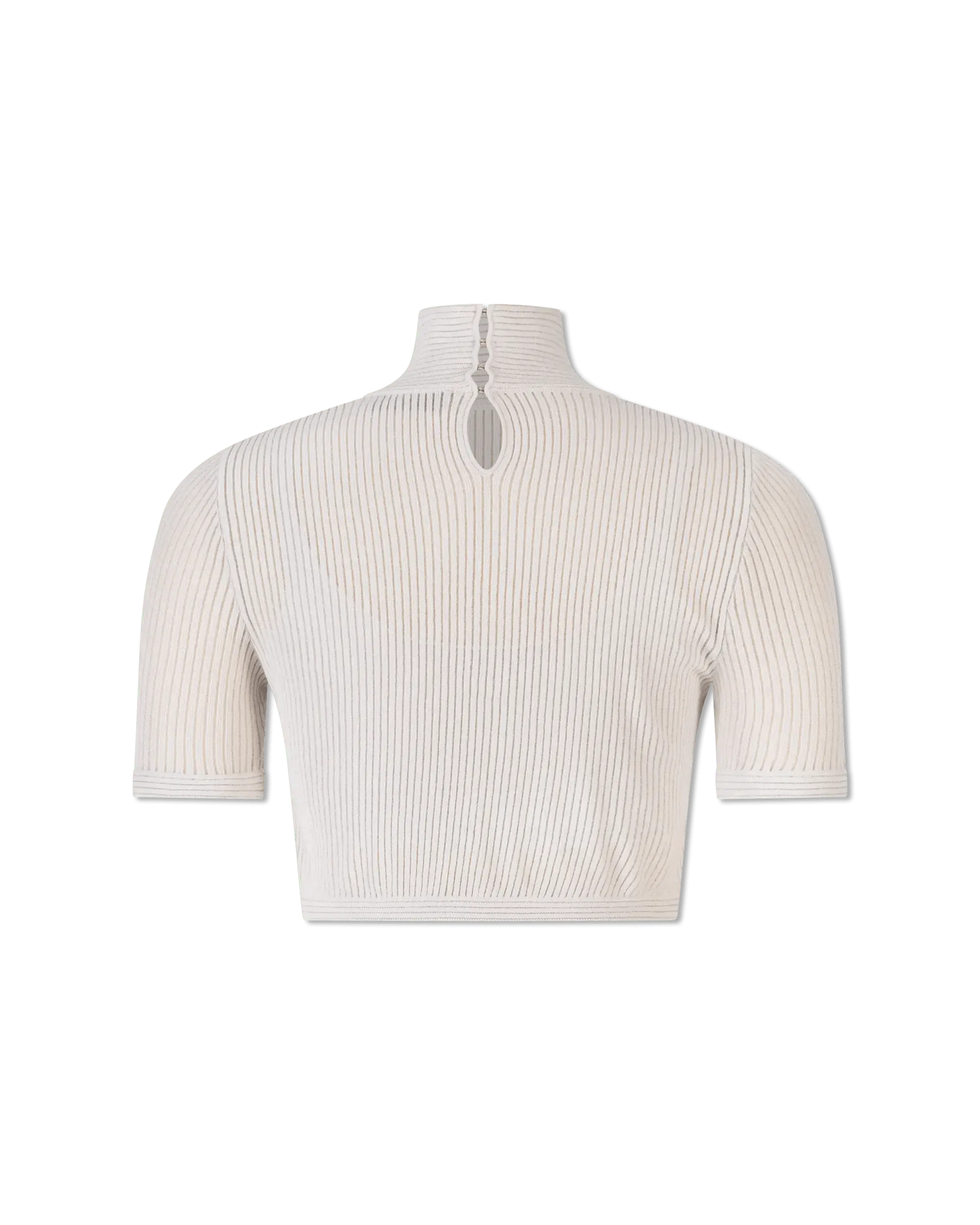 Semi-Sheer Turtleneck Crop Top - DIHSAN