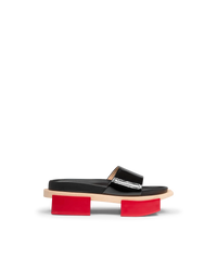 Cap Ferret Slides - DIHSAN