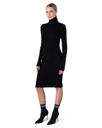 Merino Rib Dress