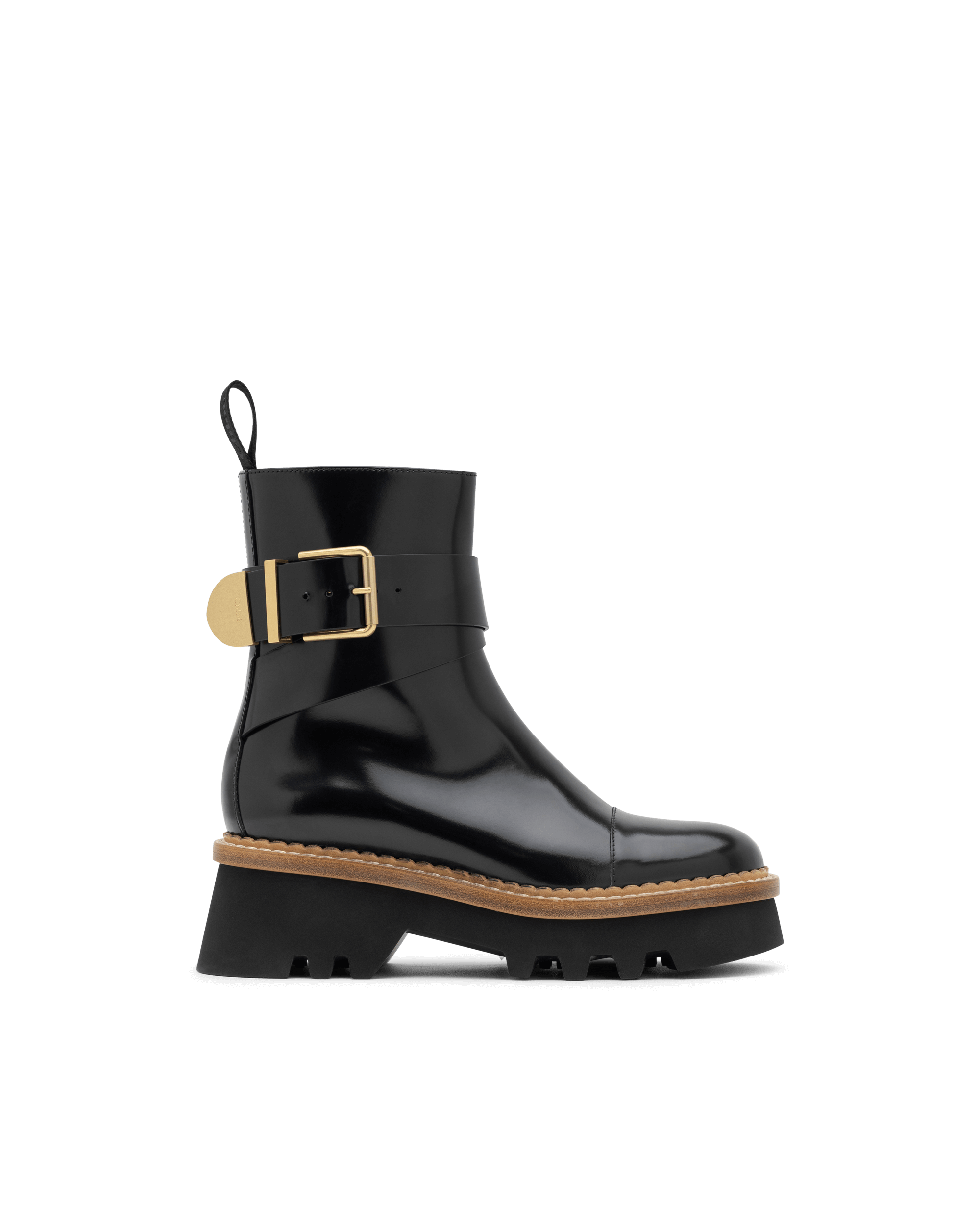 Owena Shiny Leather Ankle Boots - DIHSAN