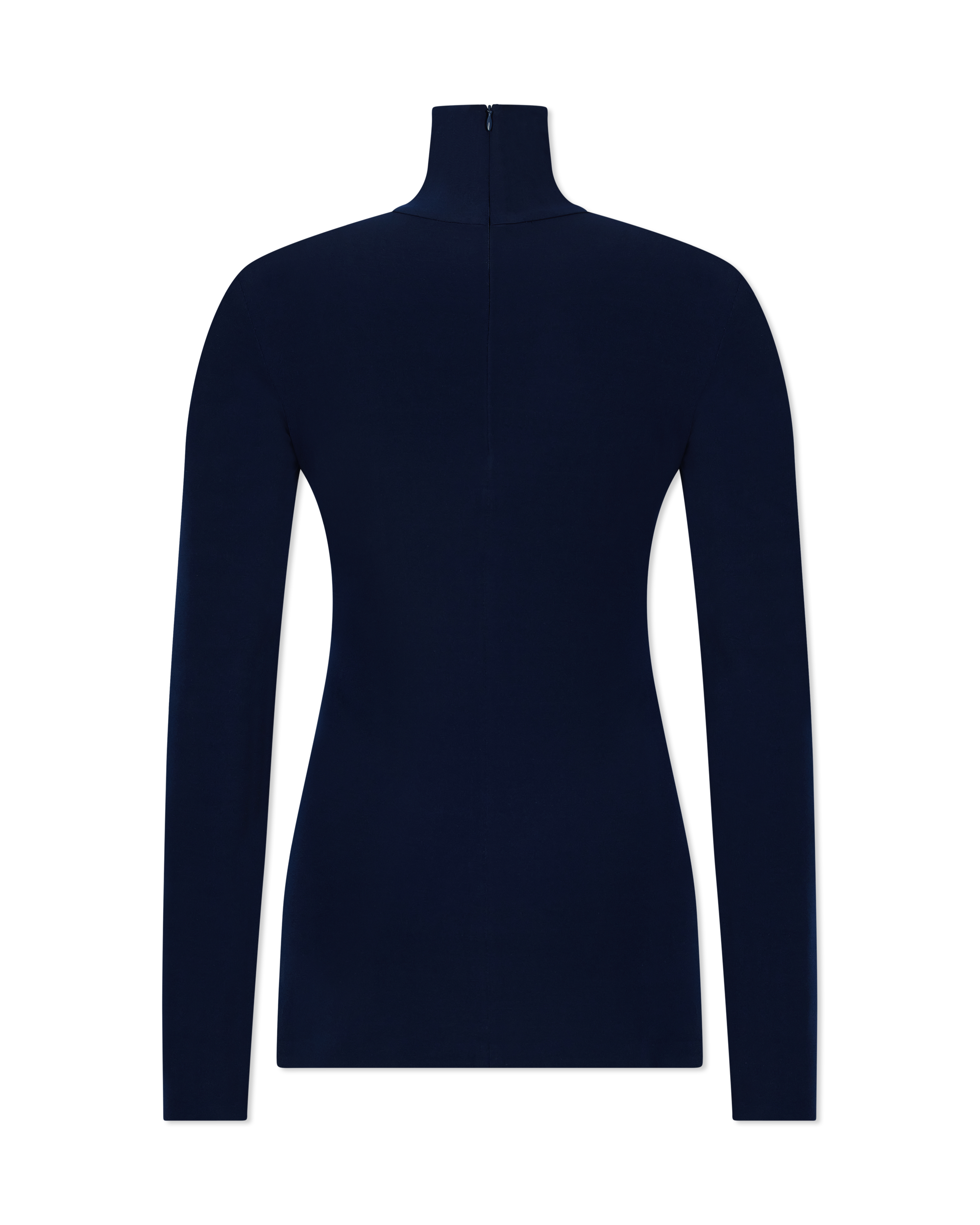 Slim Fit Long Sleeve Turtle Top