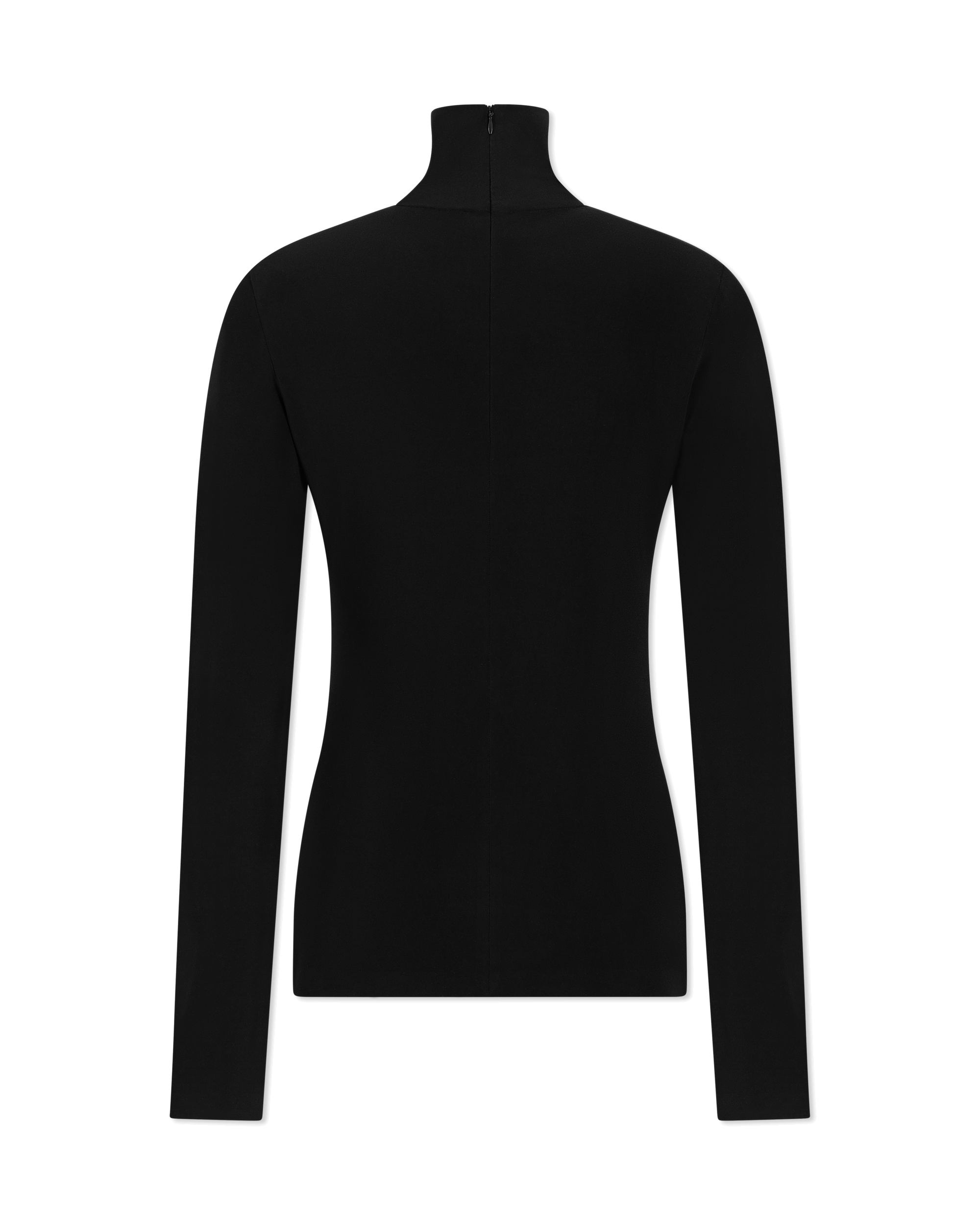 Slim Fit Long Sleeve Turtle Top