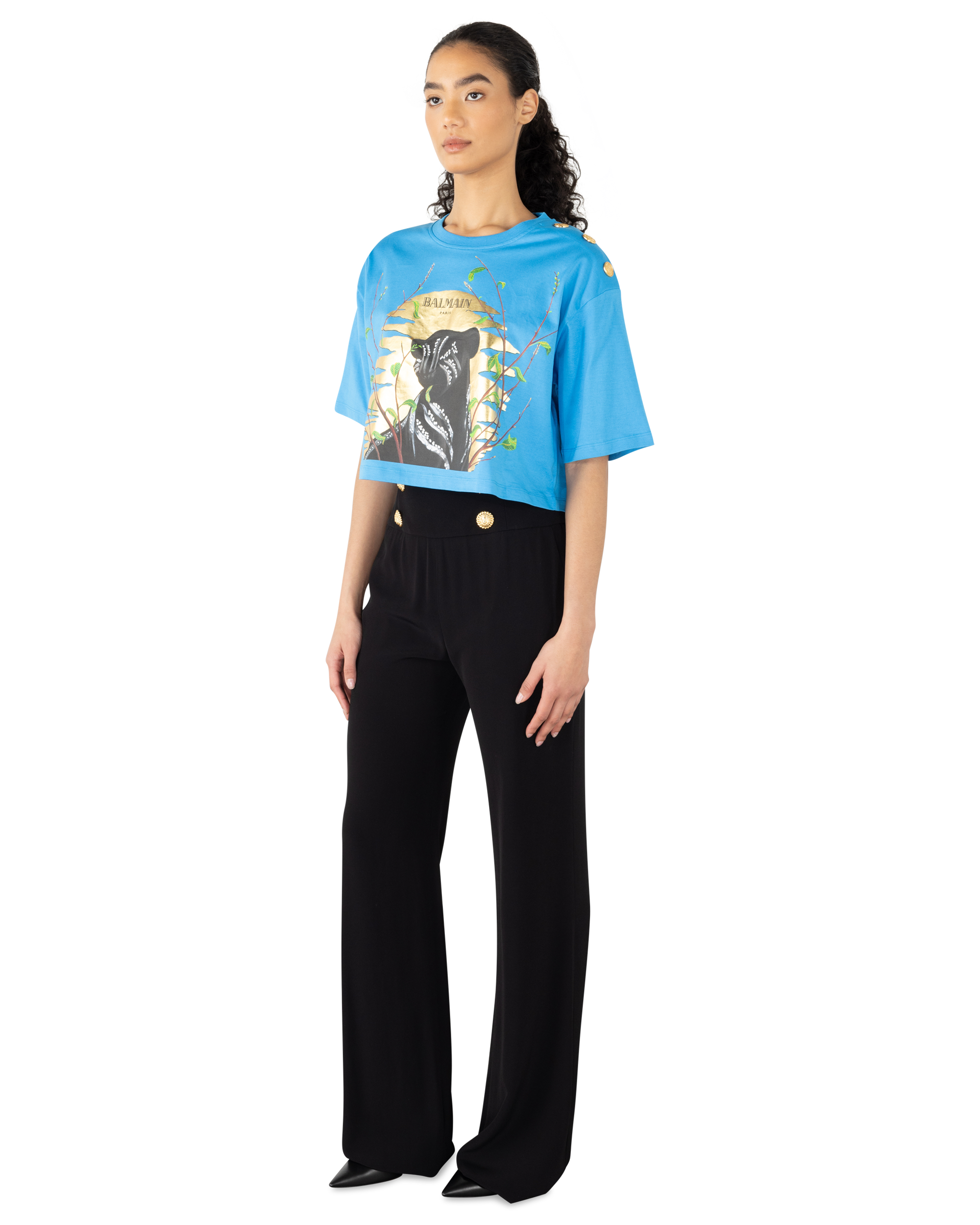 The Lion King Cassius Khumalo Printed Cropped T-Shirt