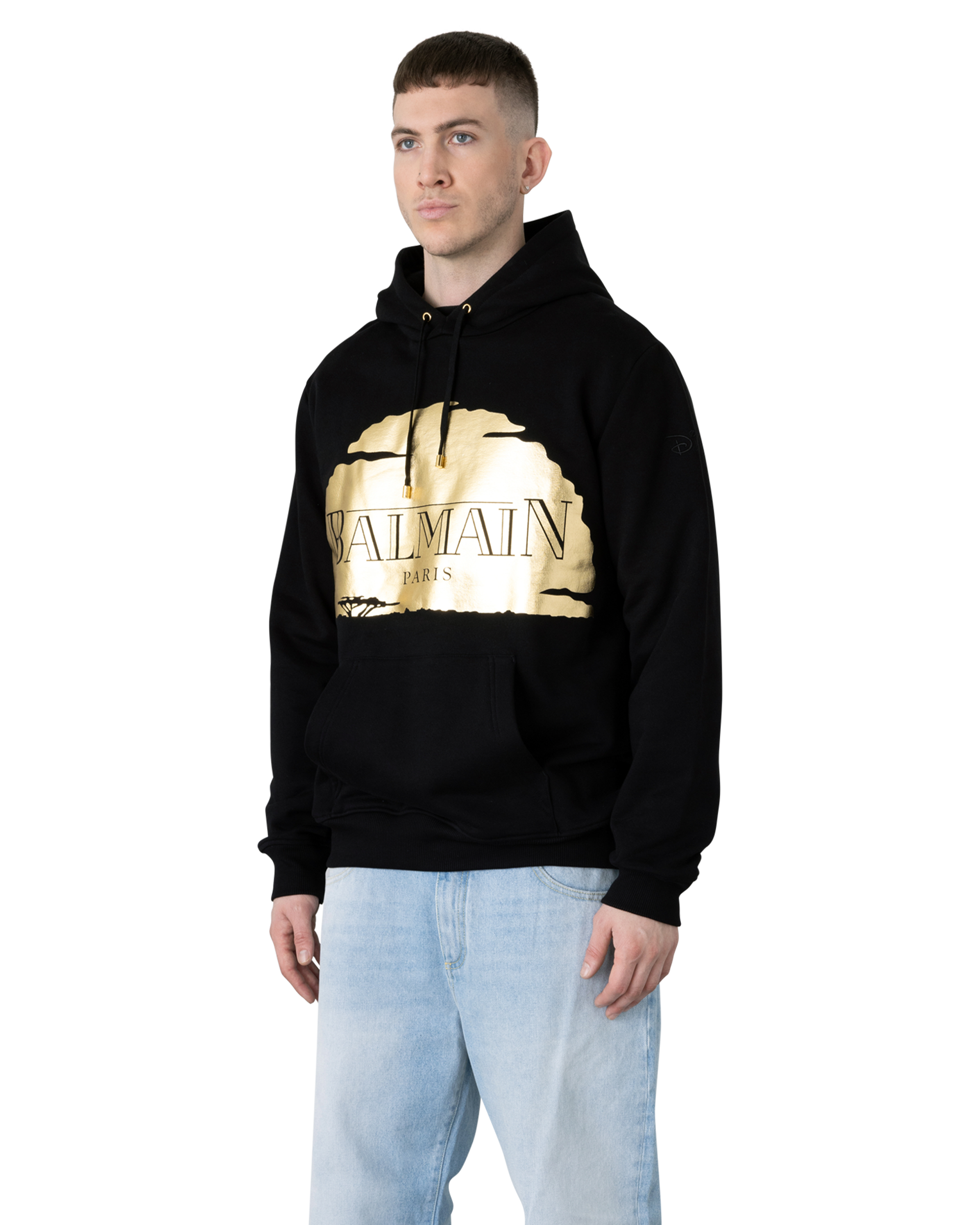 The Lion King Sunset Hoodie