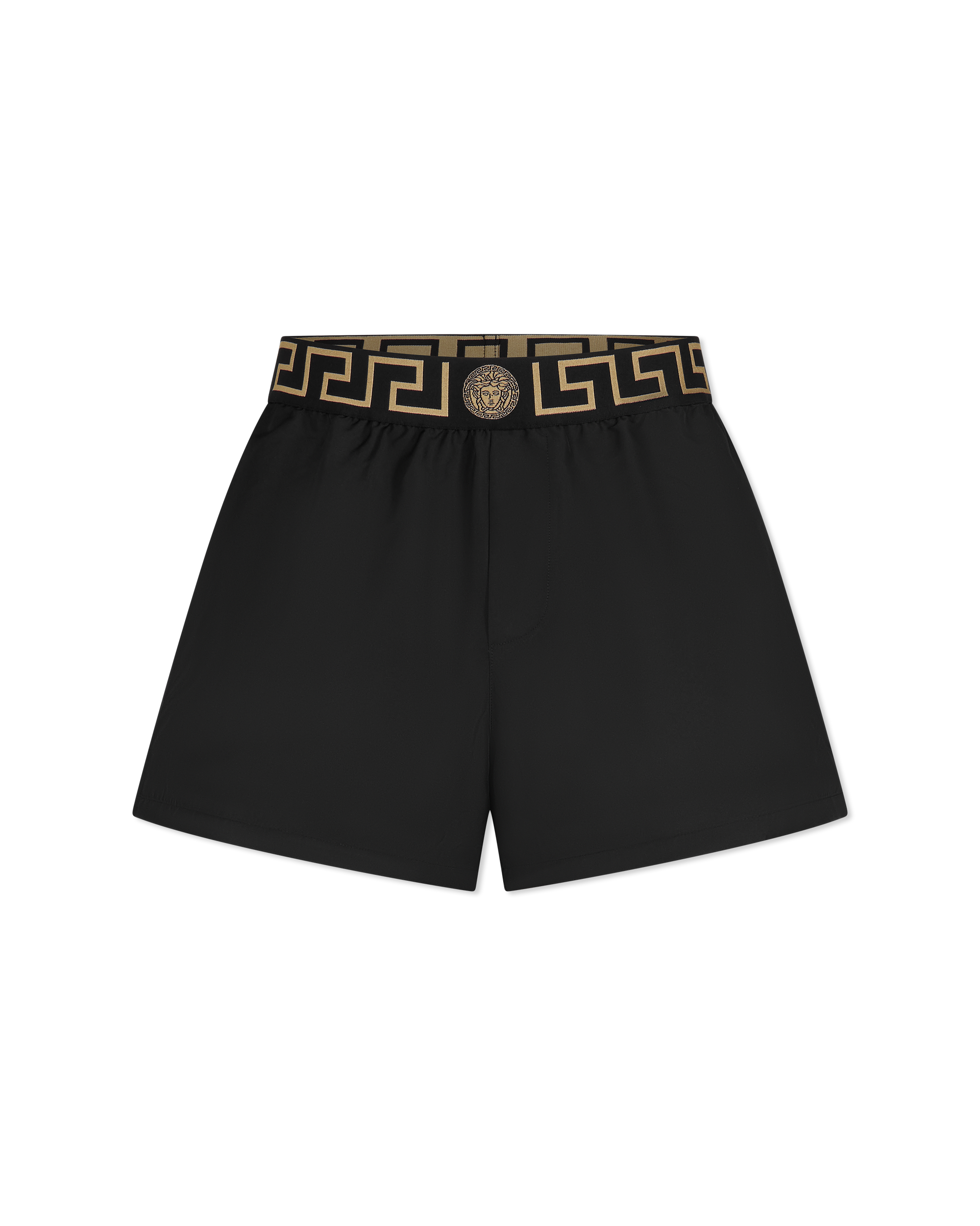 Greca Border Swim Shorts