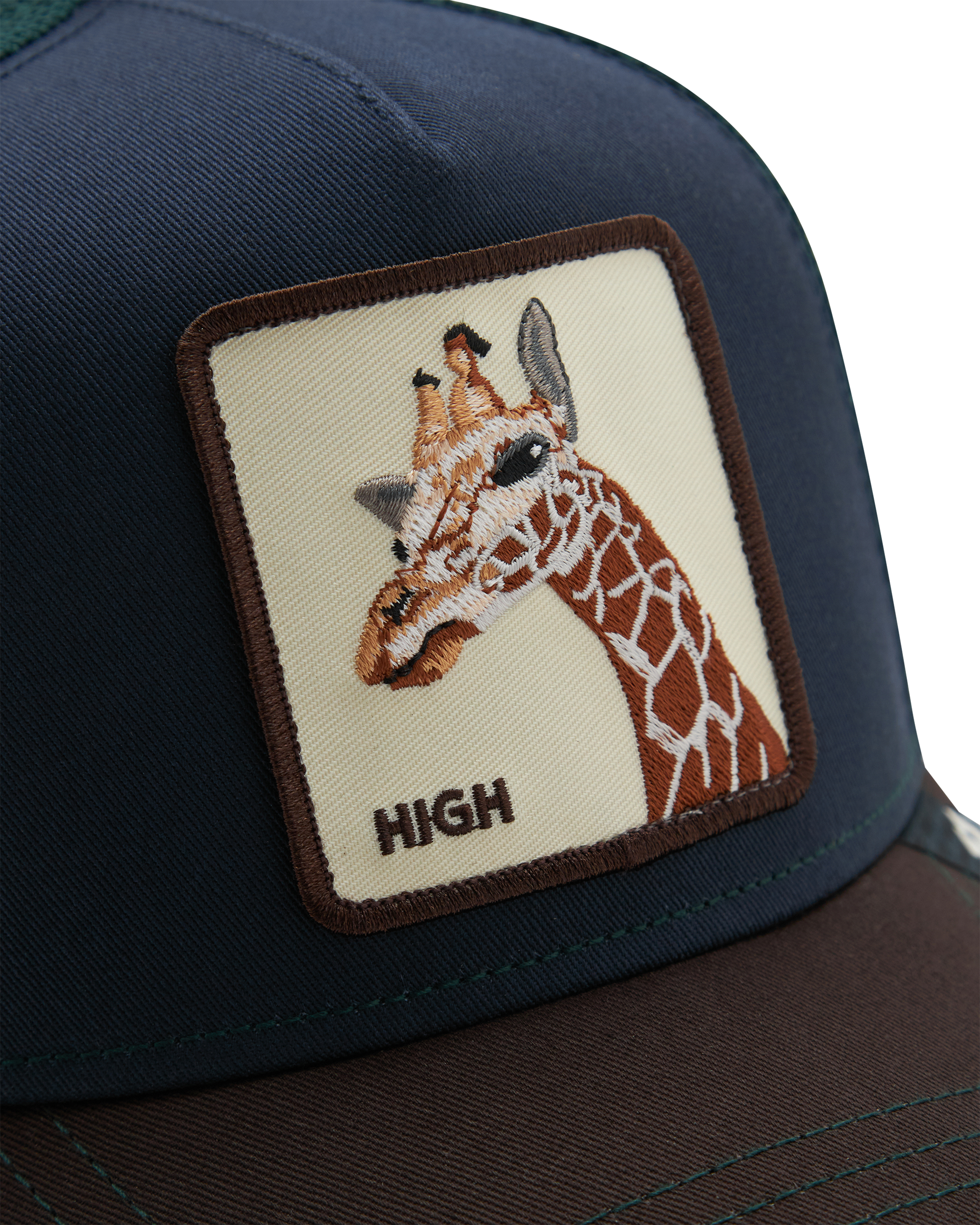 Tricolor Giraffe
