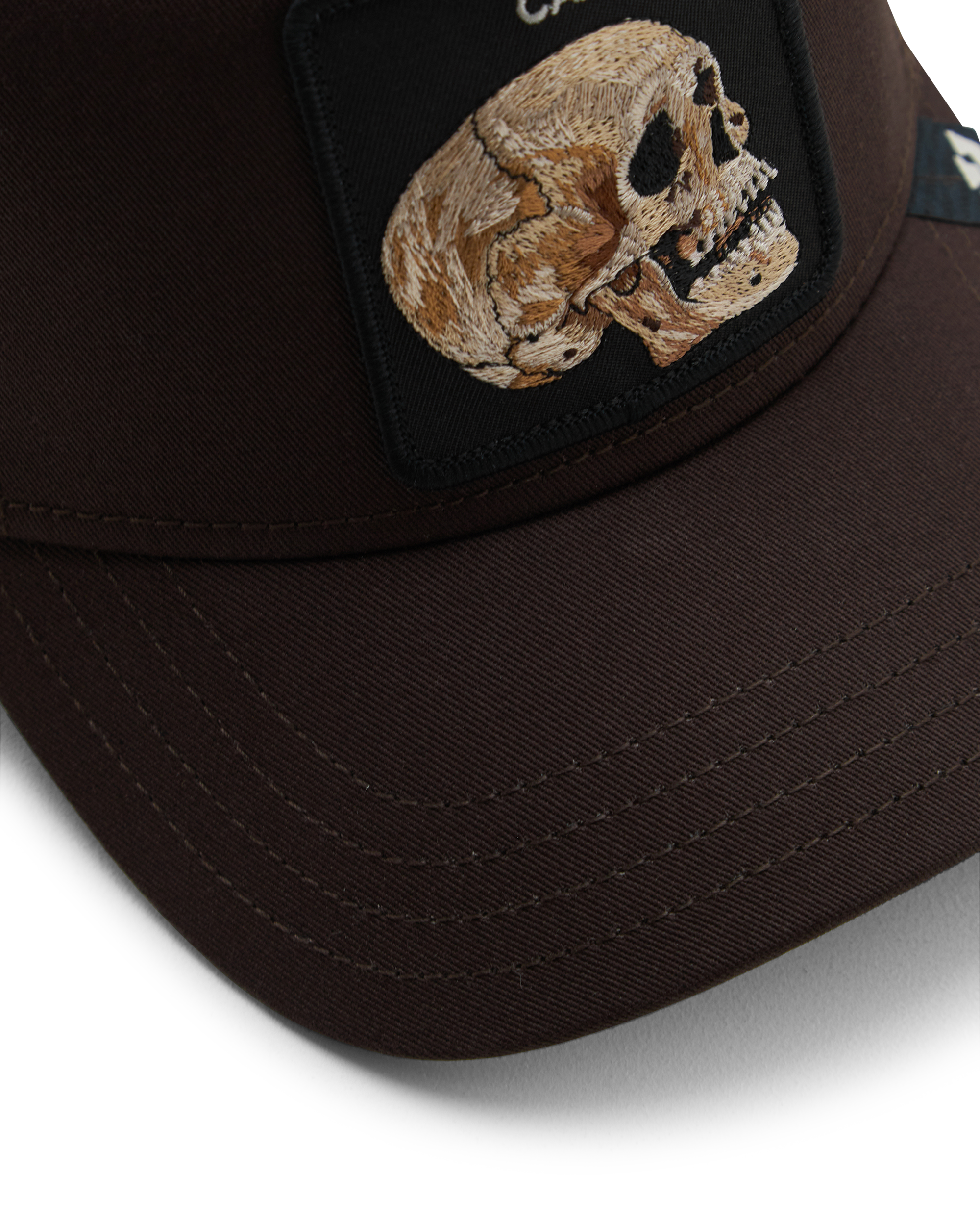 The Cancelled Skull