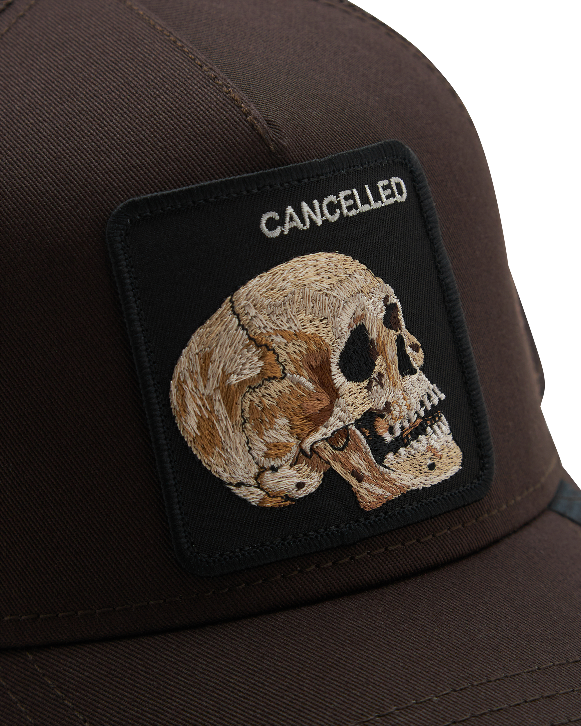 The Cancelled Skull