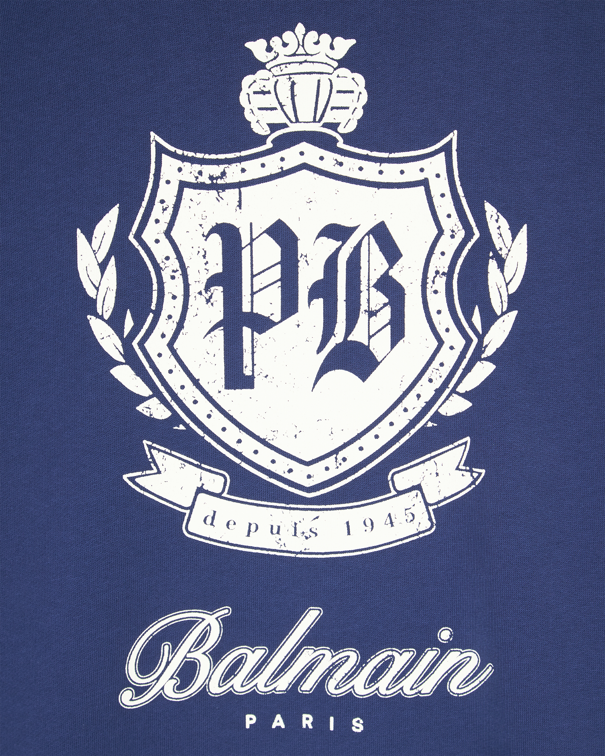 College Emblem Hoodie