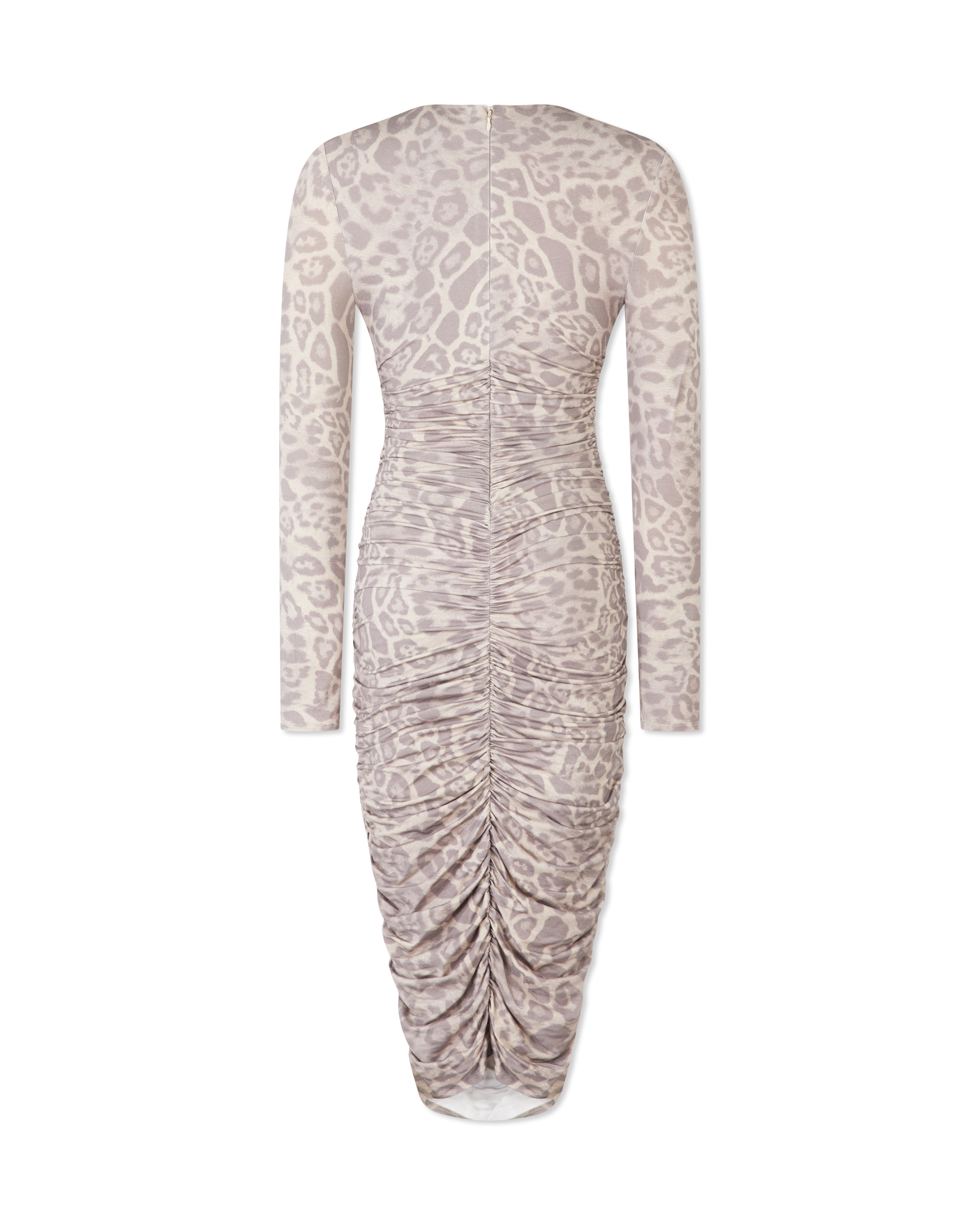 Paityn Shirred Dress