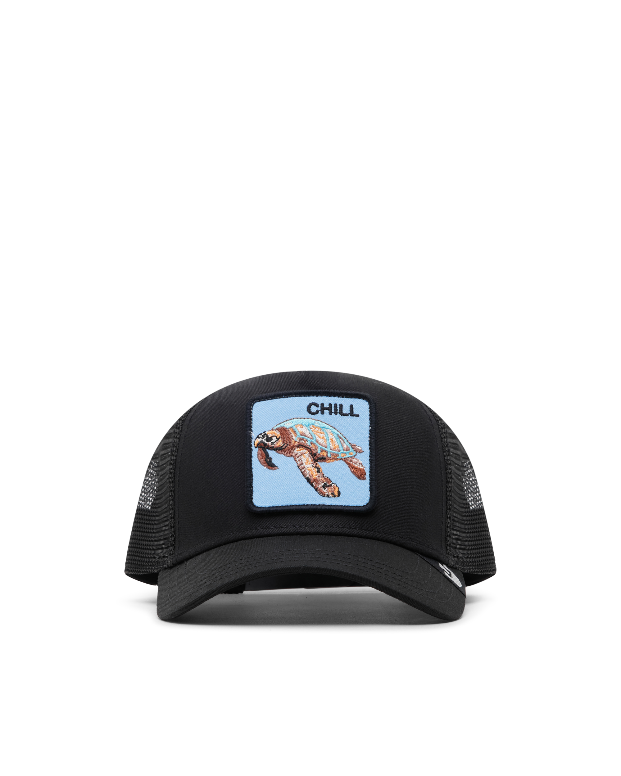 The Chill Sea Turtle