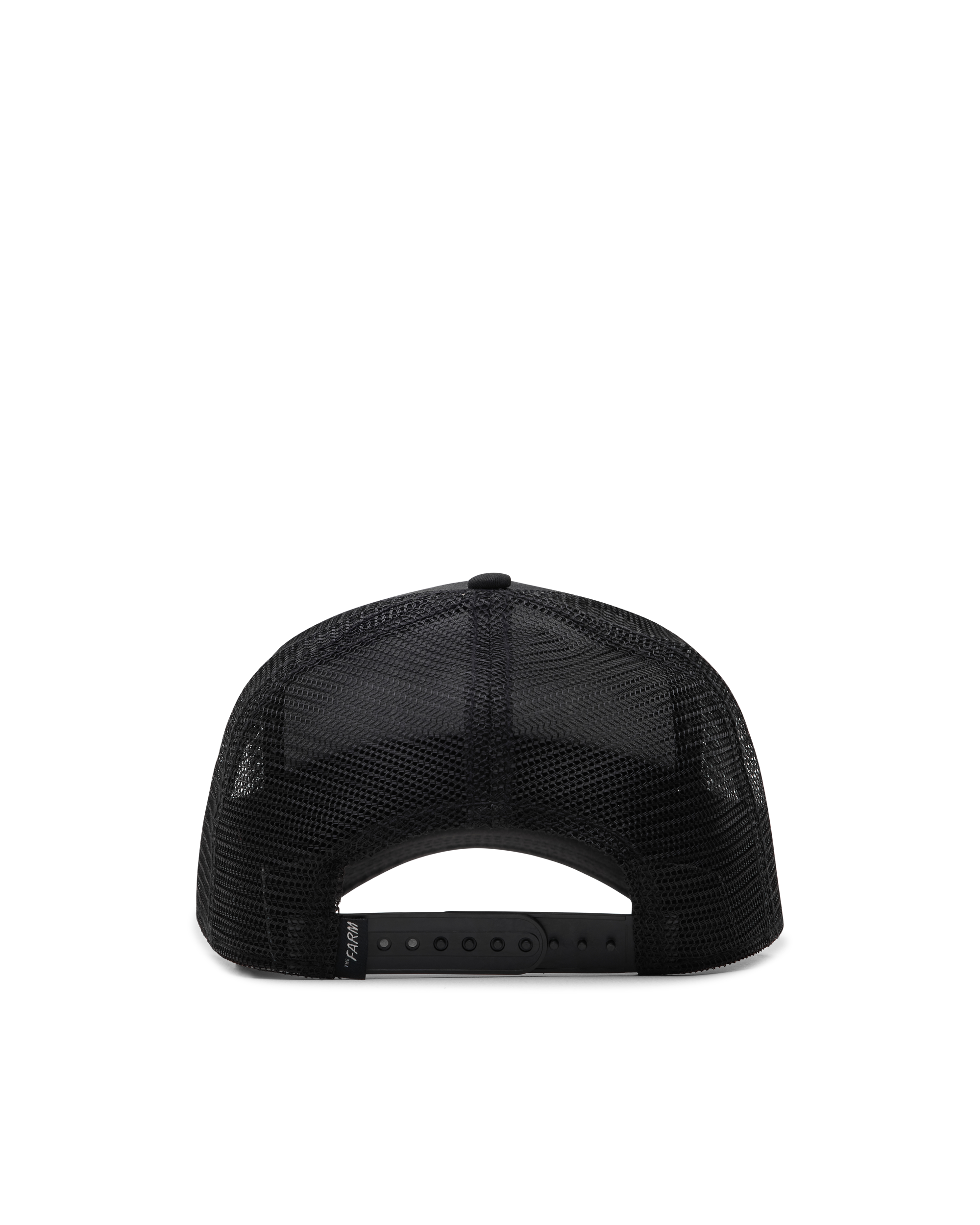 The Chill Sea Turtle