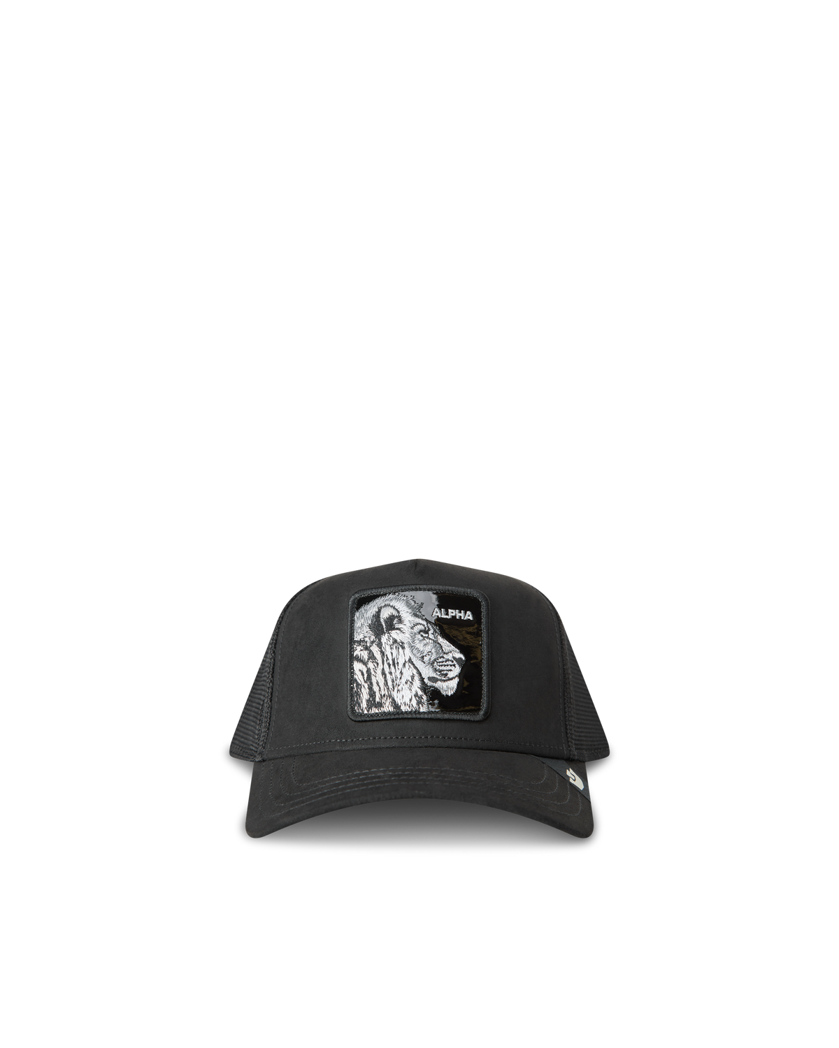 Black Out Lion
