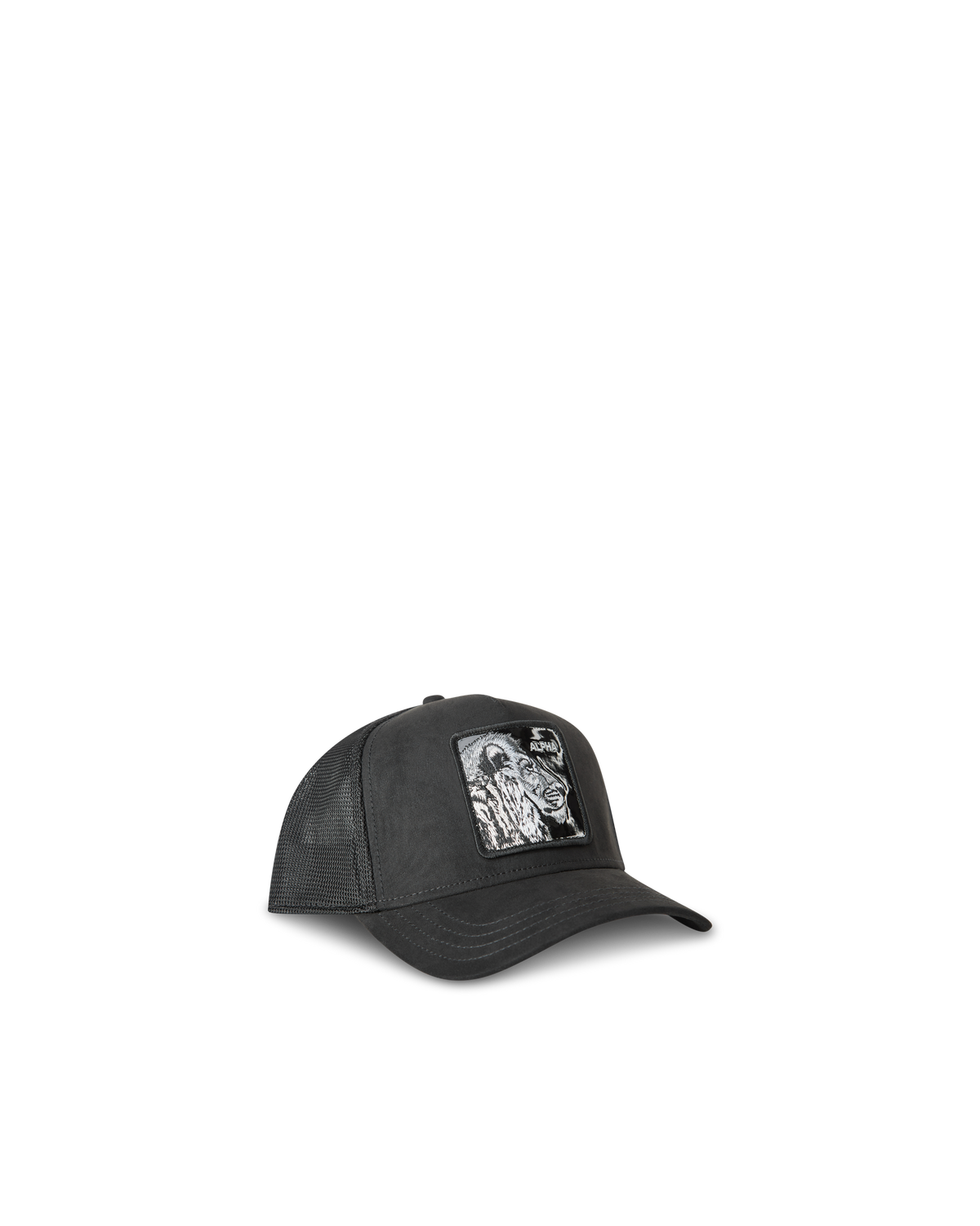 Black Out Lion