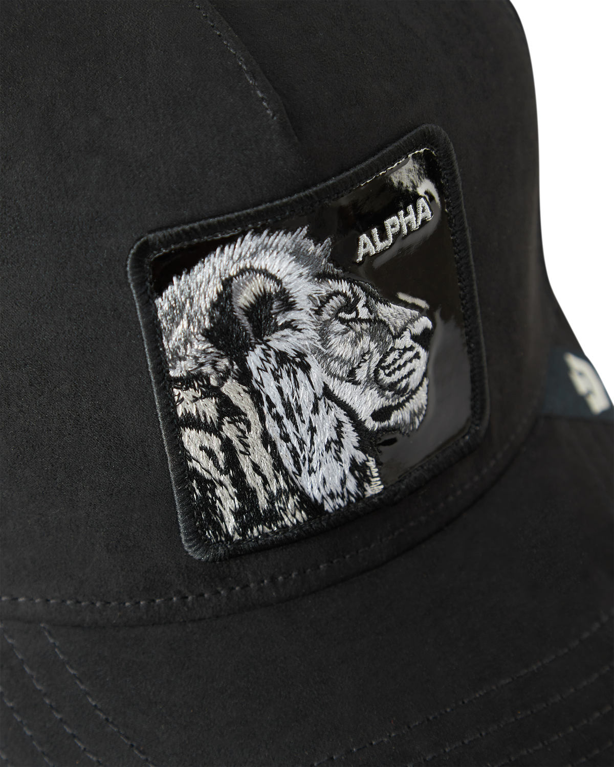 Black Out Lion
