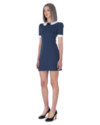 Collared Polka Dot Dress