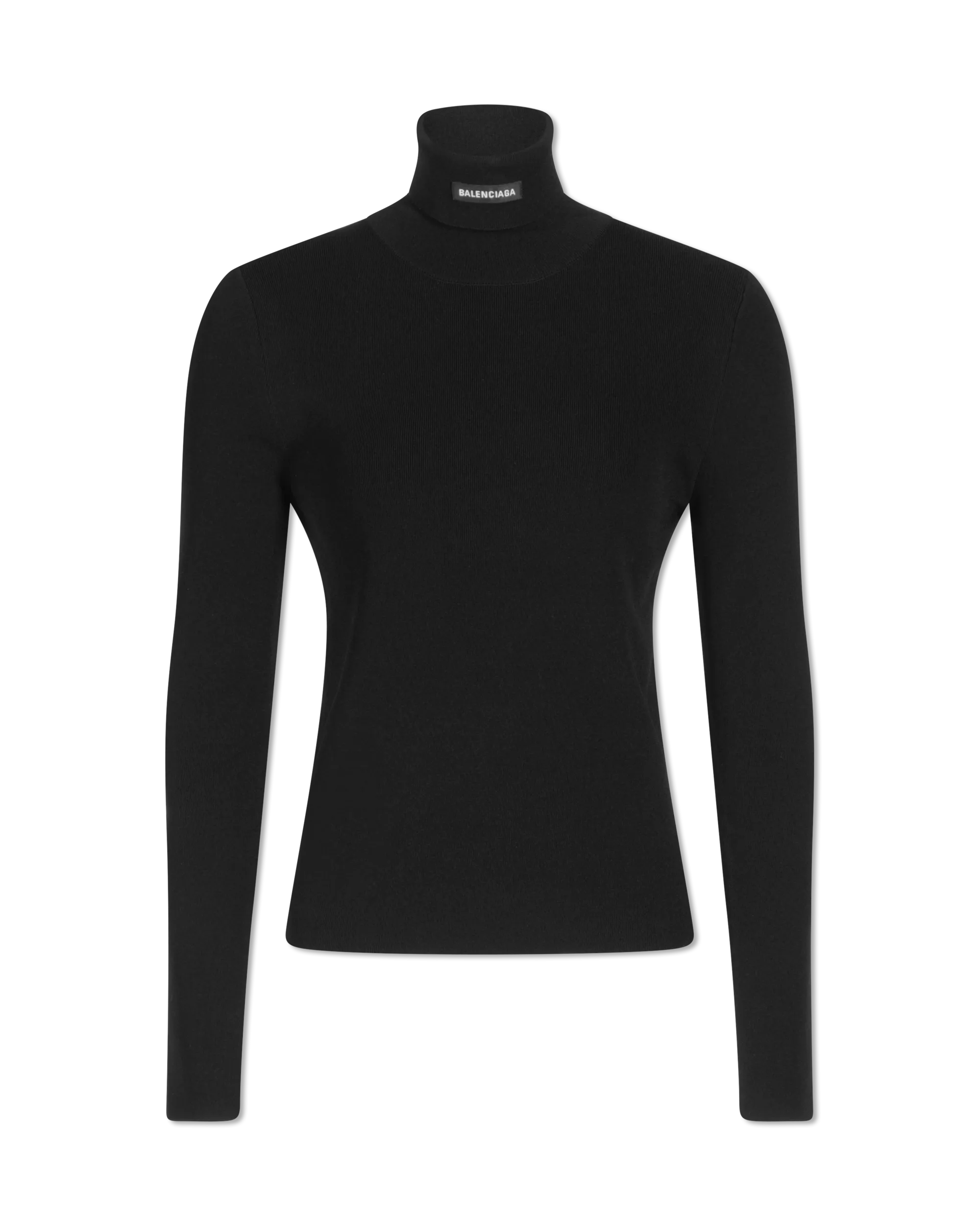 Fitted Viscose Knit Turtleneck Sweater