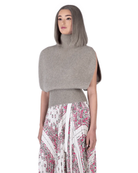 Shetland Double Face Turtleneck Sleeveless Sweater